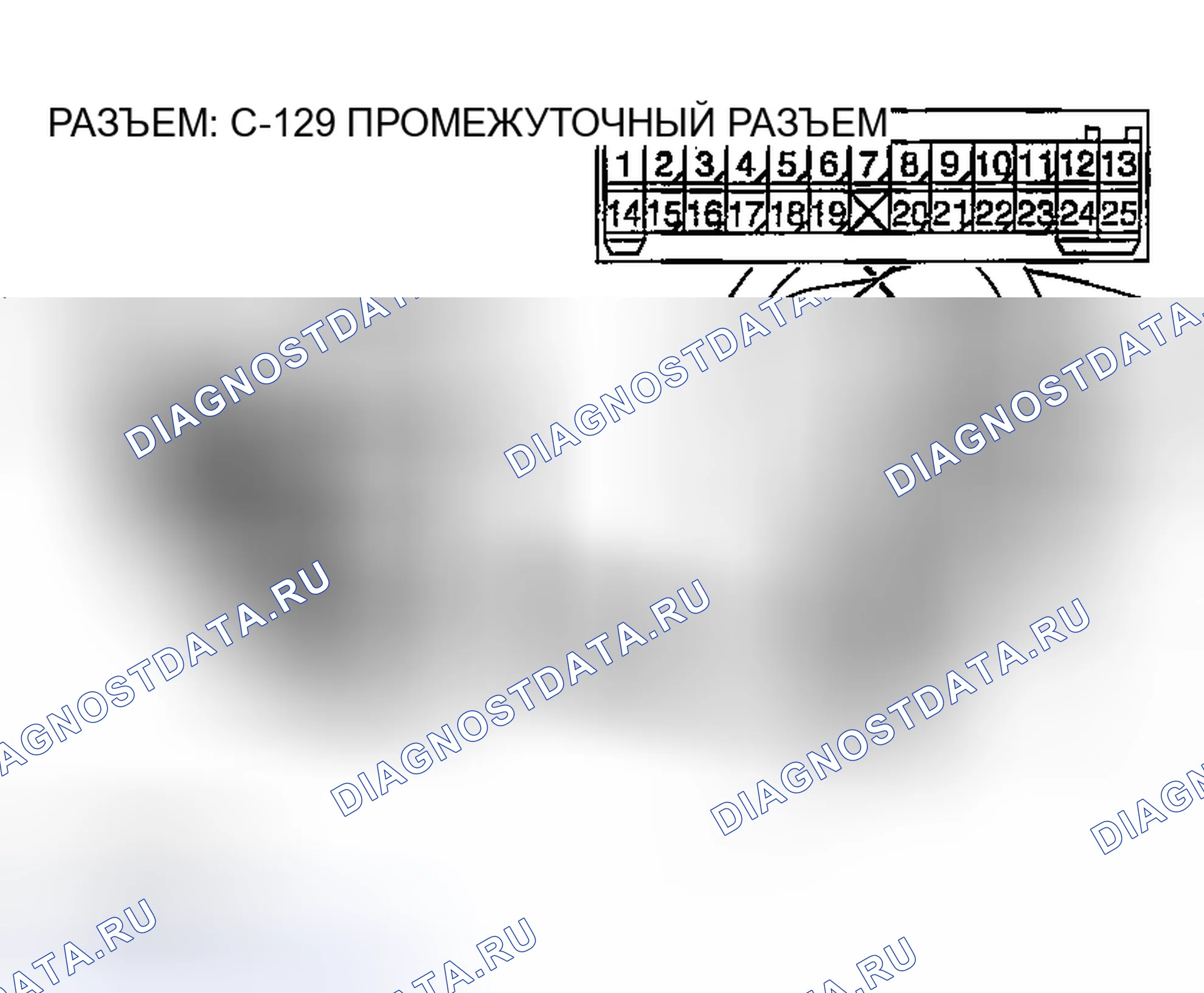 Рис. 242. Honda Edix I