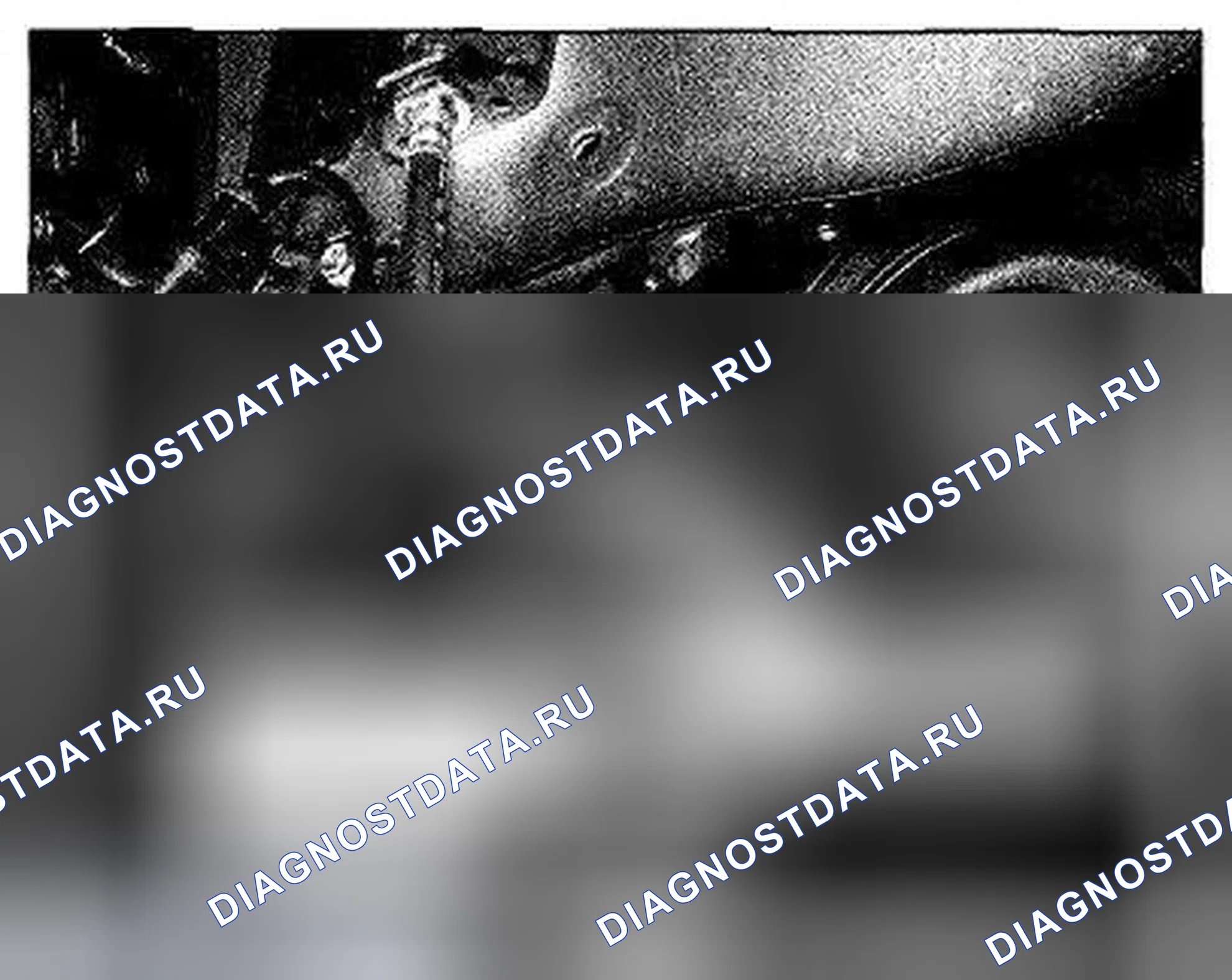 Рис. 343: Расположение компонентов под правой стороной моторного отсека (фото 44). Honda Element YH2 рестайлинг 2