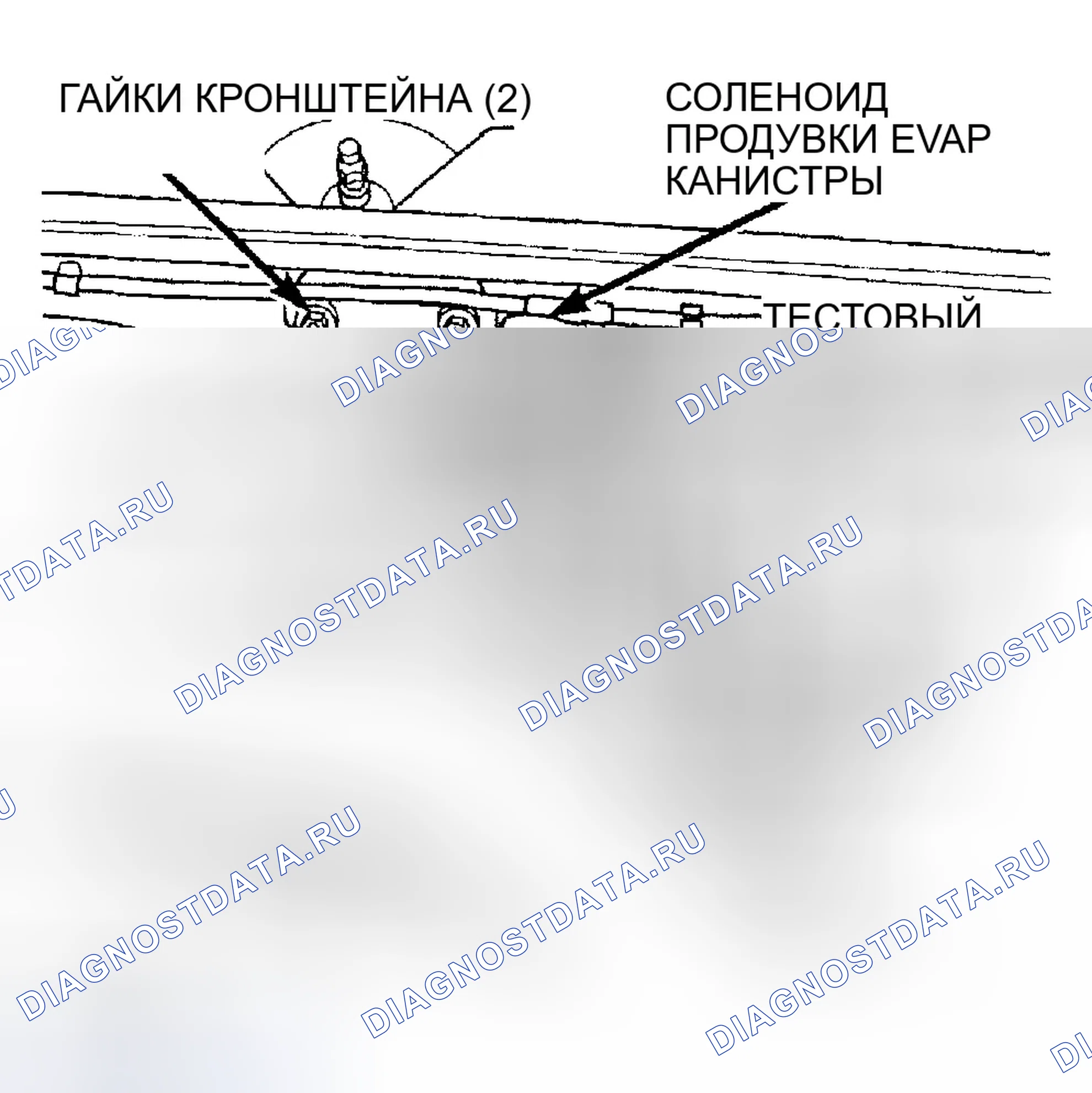 Рис. 297: РАСПОЛОЖЕНИЕ СЕРВИСНОГО ПОРТА СОЛЕНОИДА ПРОДУВКИ EVAP КАНИСТРЫ И СИСТЕМЫ EVAP. Dodge Pickup R2500 