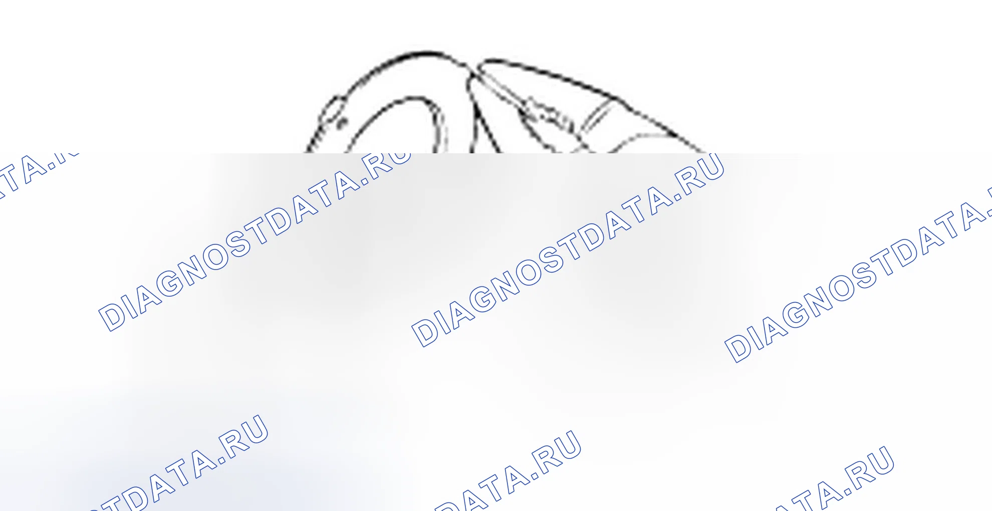 Проверка поддержки центра. Hyundai H-1 A1