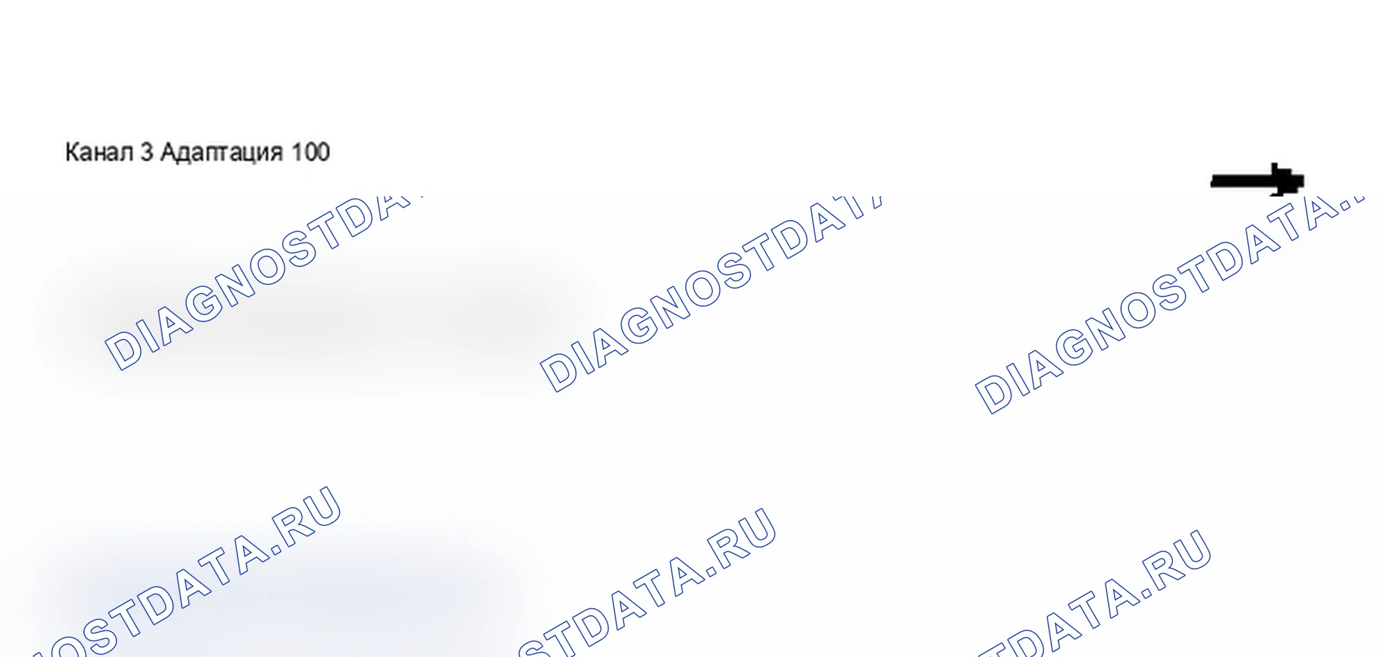 Рис. 221: Дисплей сканирующего инструмента VAG 1551 - адаптация расхода топлива, приборная панель с увеличением интервала технического обслуживания (4 из 12). Audi A6 C5