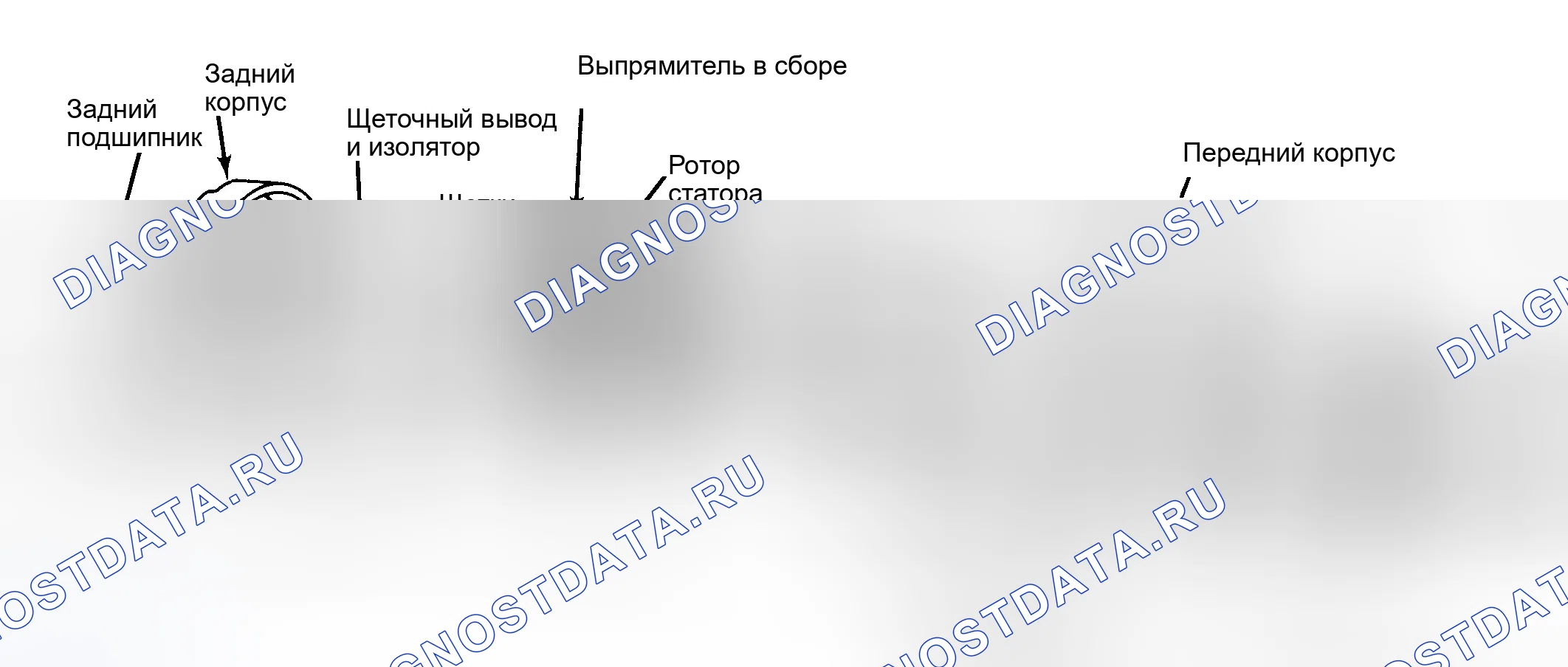 Рис. 4: Разнесенный вид генератора переменного тока задней клеммы мотоцикла. Ford Mustang III рестайлинг