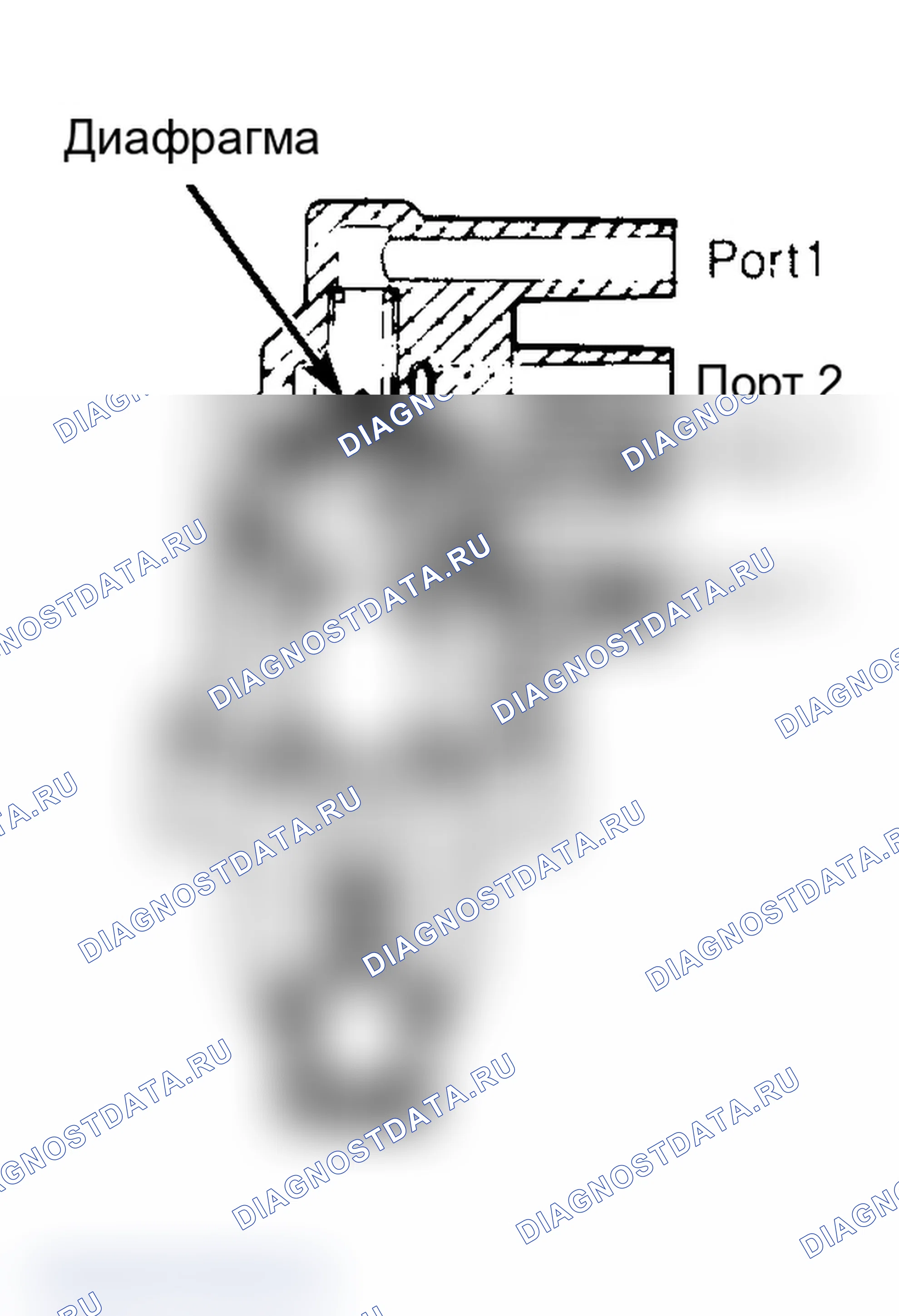 Рис. 60: Вид с местным разрезом вакуумметра 4-Port PVS Connect с 1-м и 3-м портами для проверки PVS.. Ford Cab & Chassis Ranger 