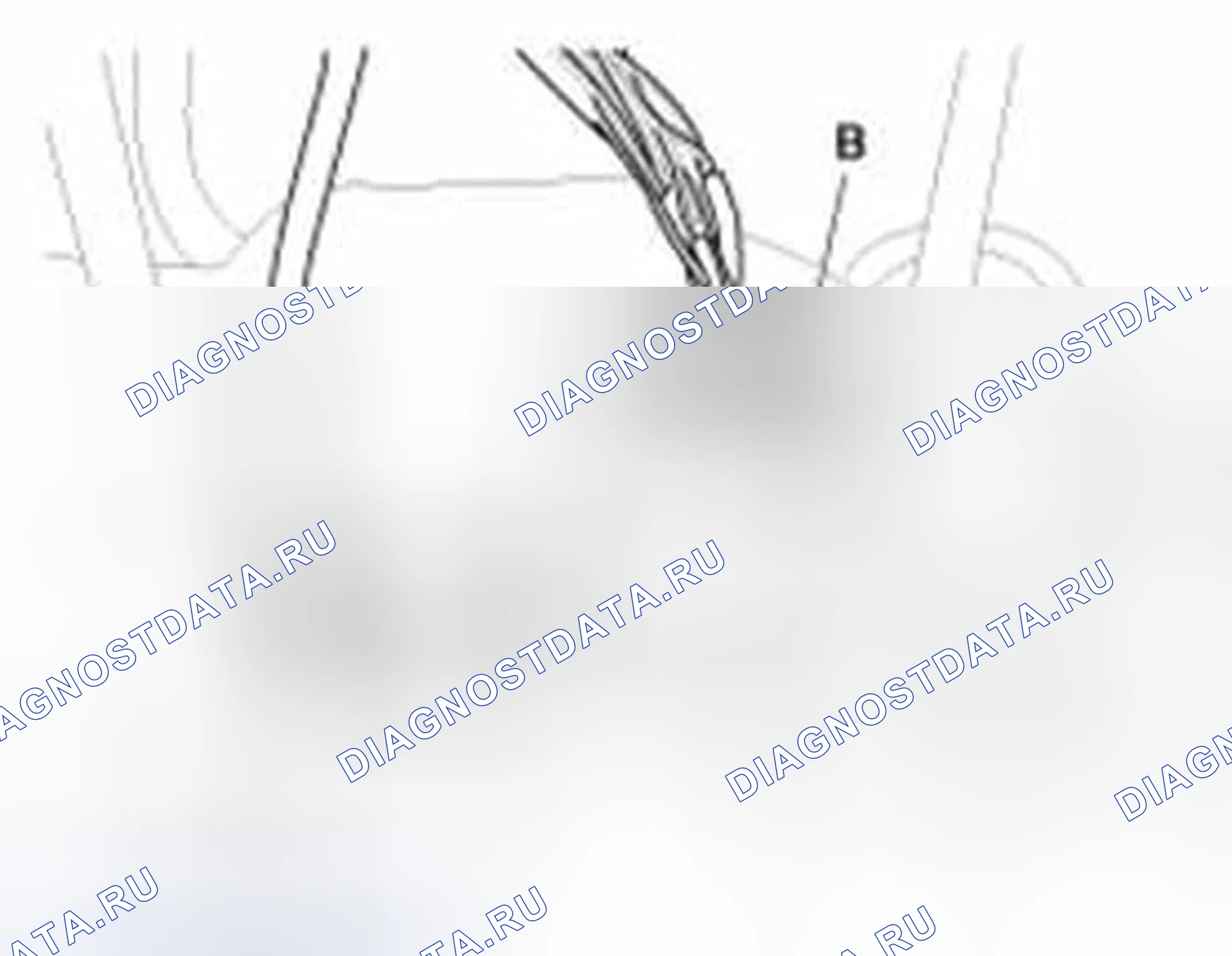 Рис. 5. Hyundai Sonata VI