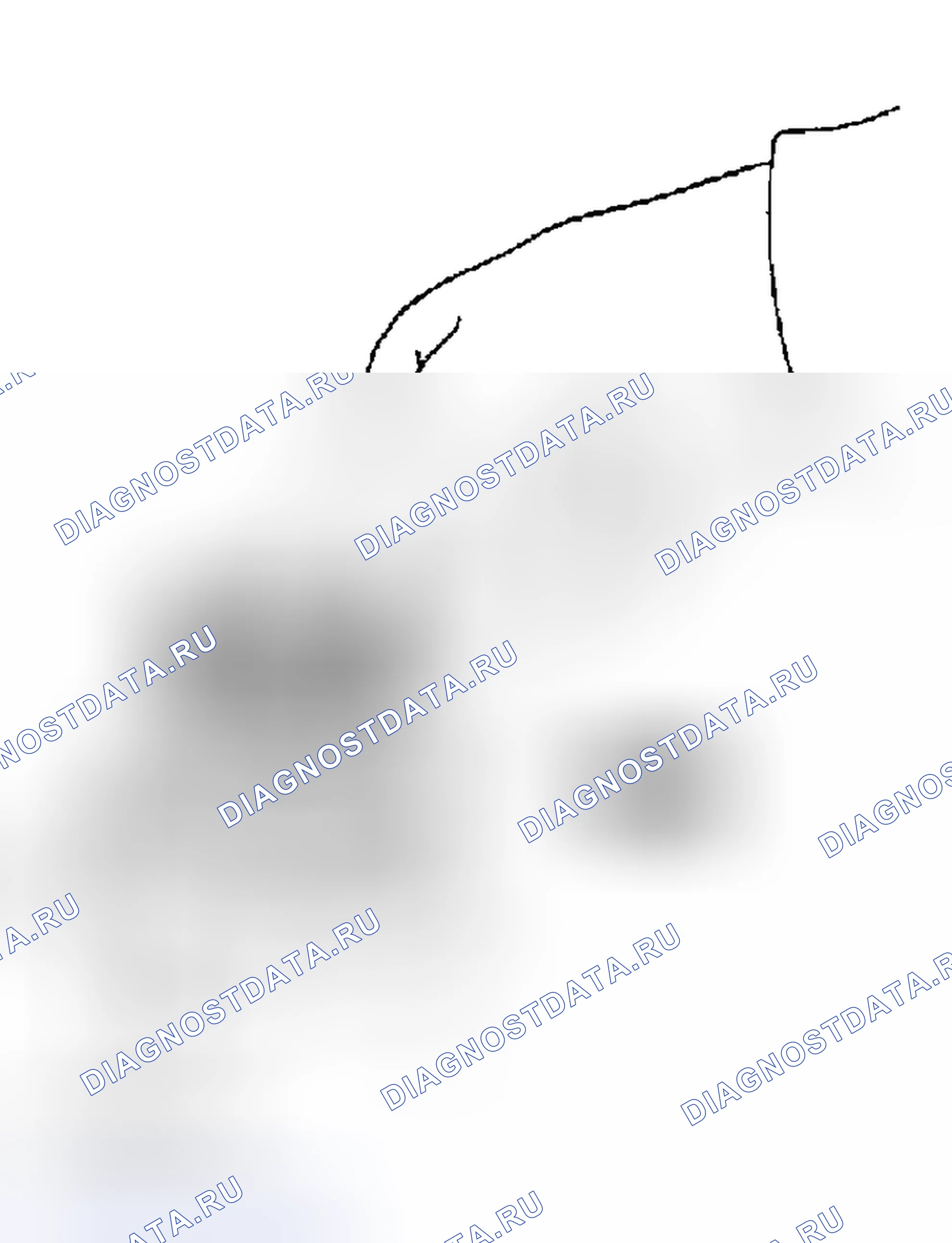 Рис. 251. Honda Odyssey (North America) I