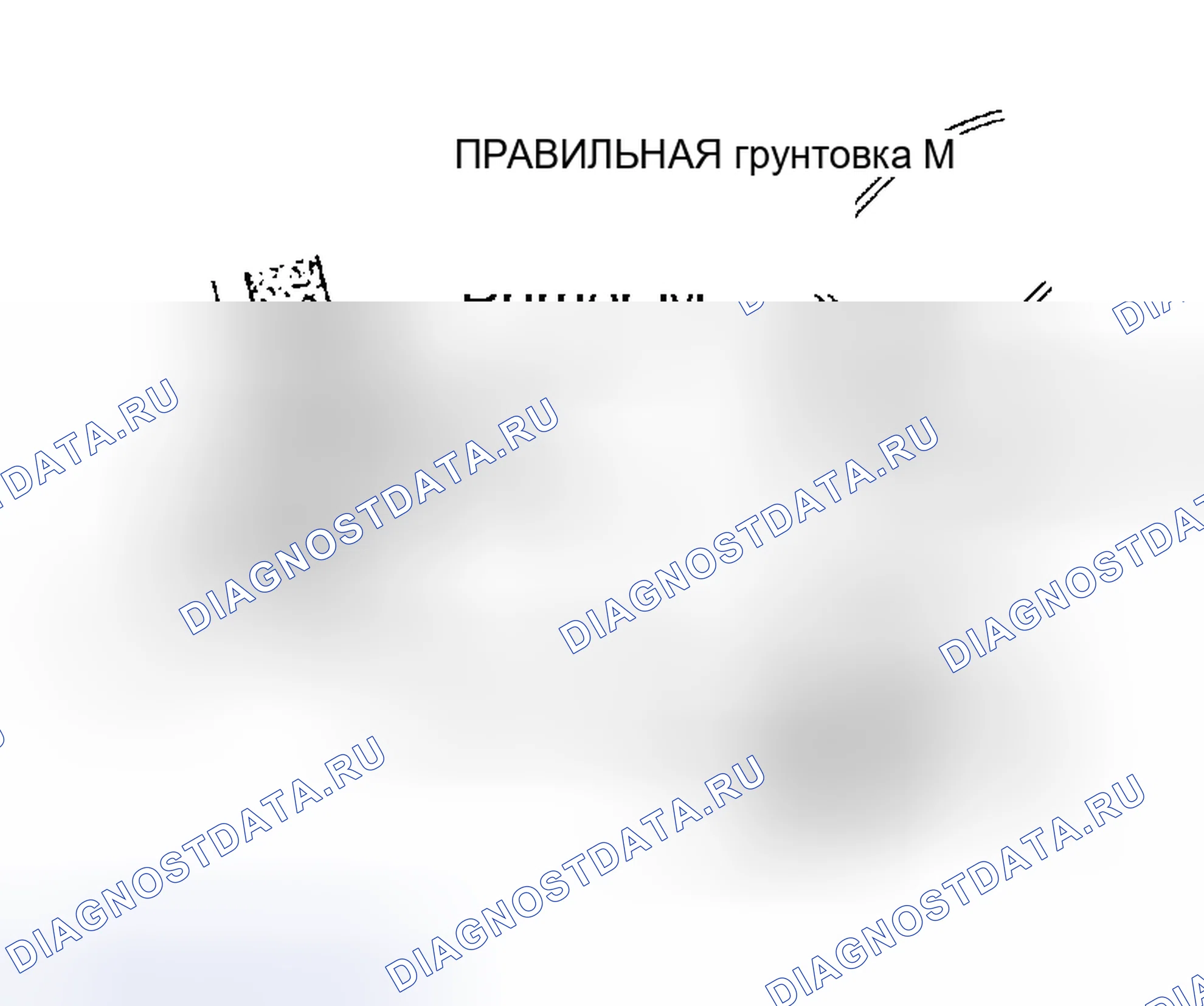 Рис. 11. Honda Accord VI