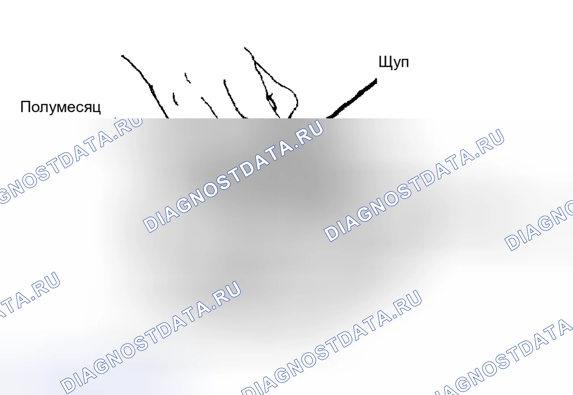 Рис. 10. Nissan Maxima G910