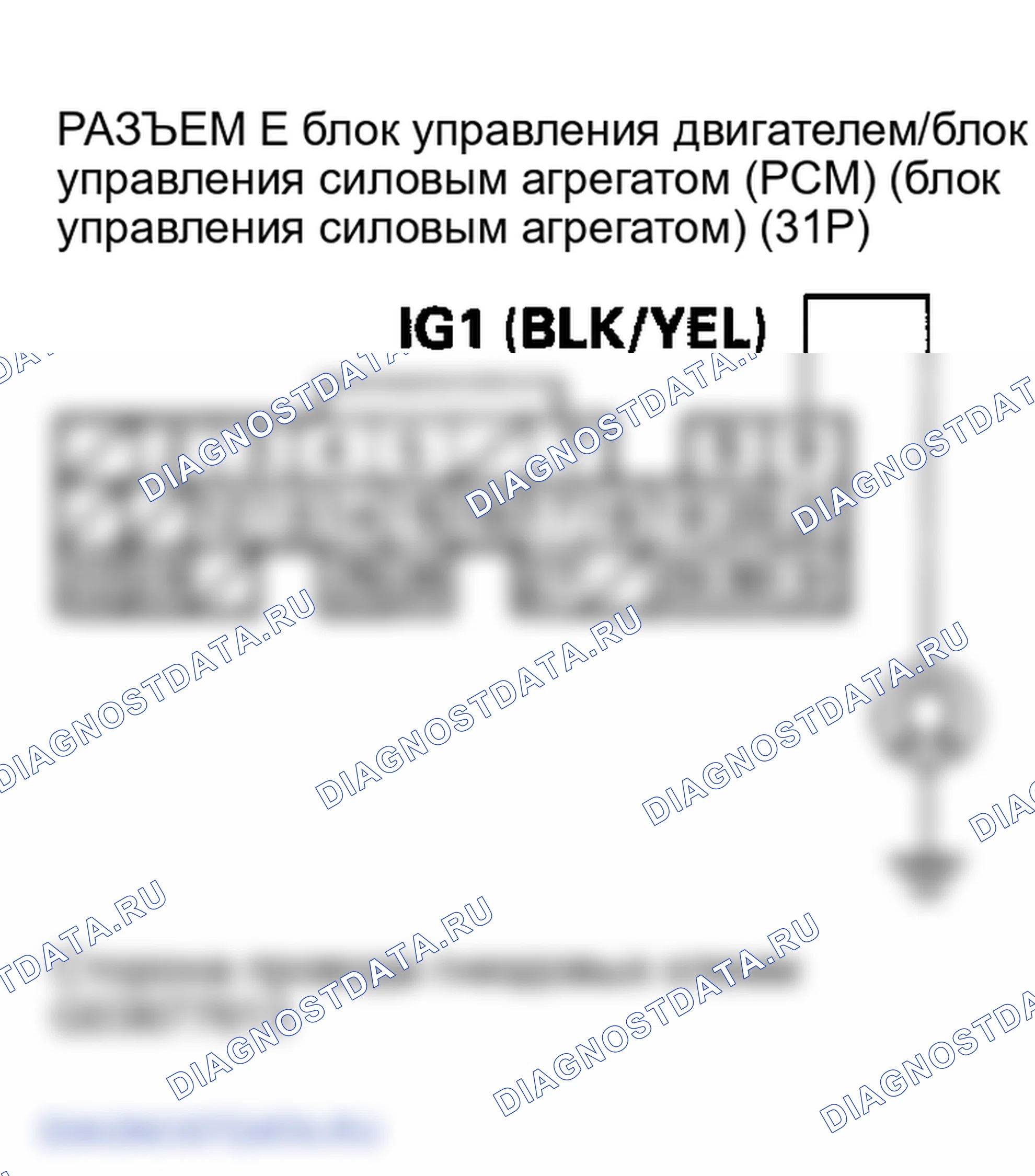 Рис. 16. Honda Element YH2