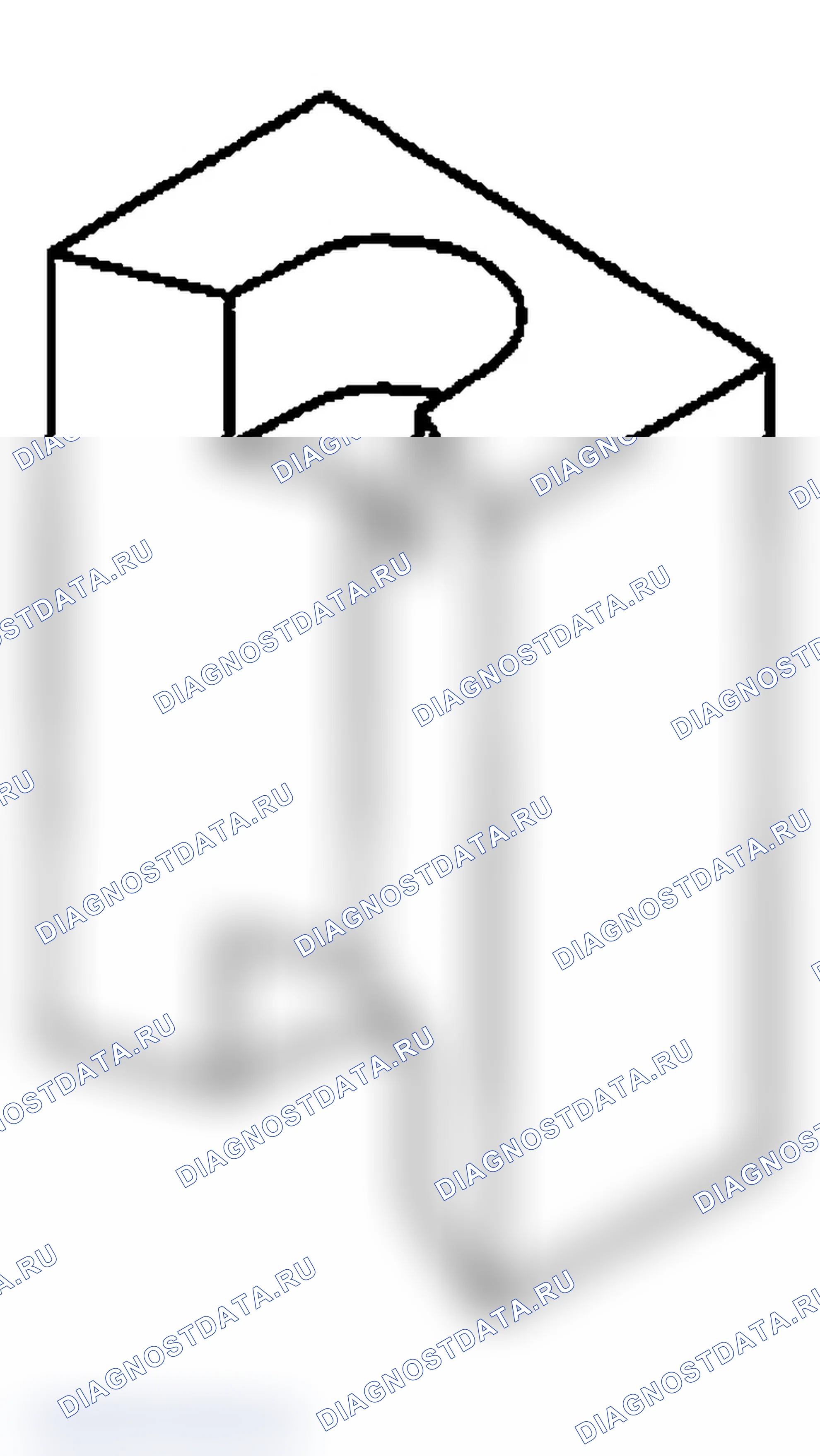 Рис. 113. Subaru Impreza WRX GD/GG рестайлинг 2