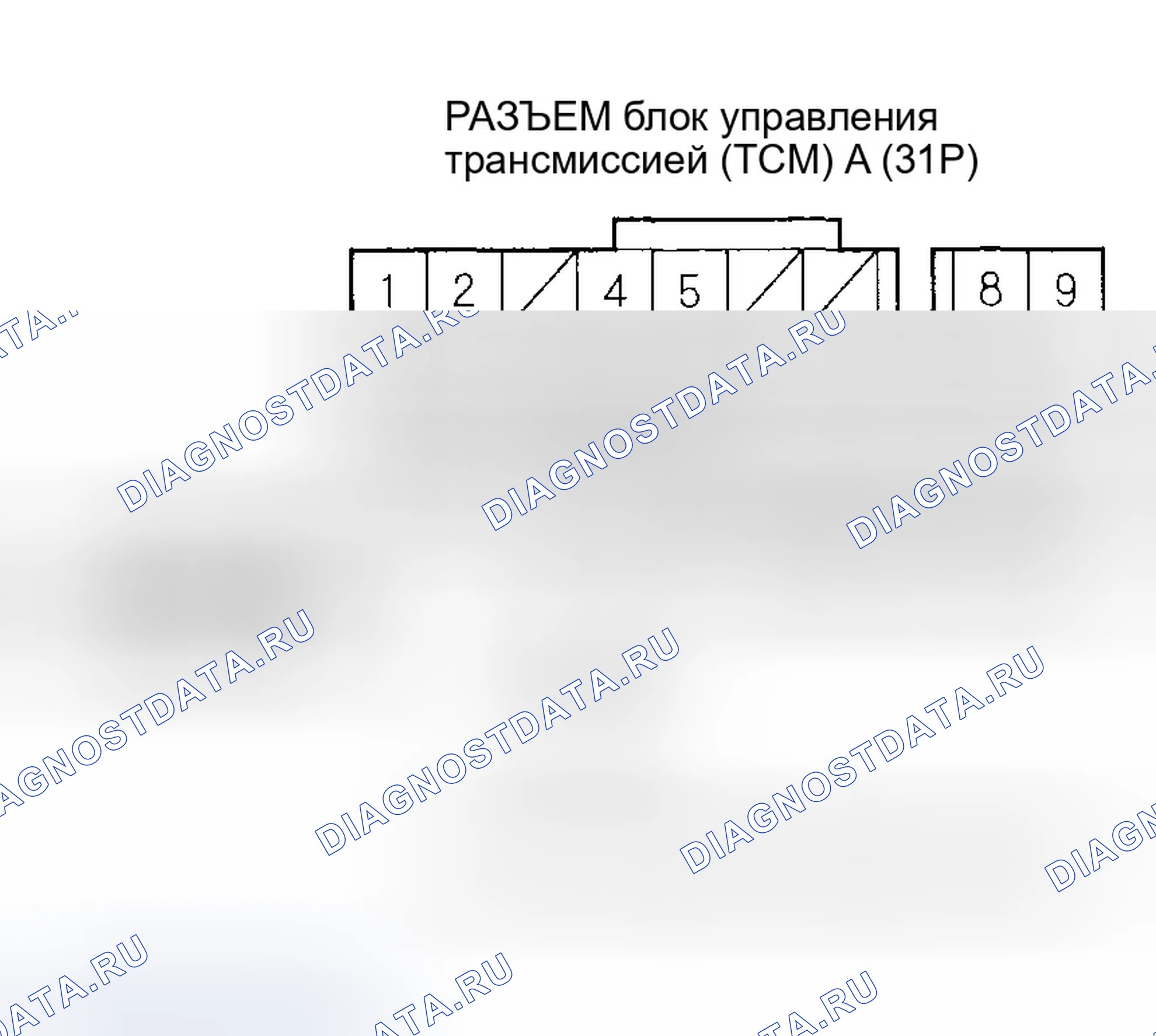 Рис. 1163. Honda Civic VII рестайлинг