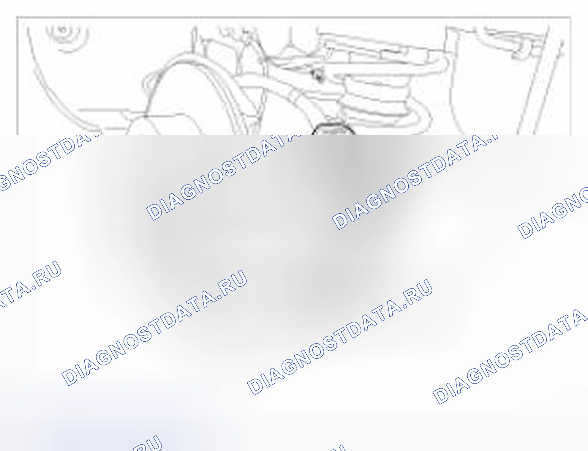 Рис. 148. BMW 6 серия F06/F13/F12
