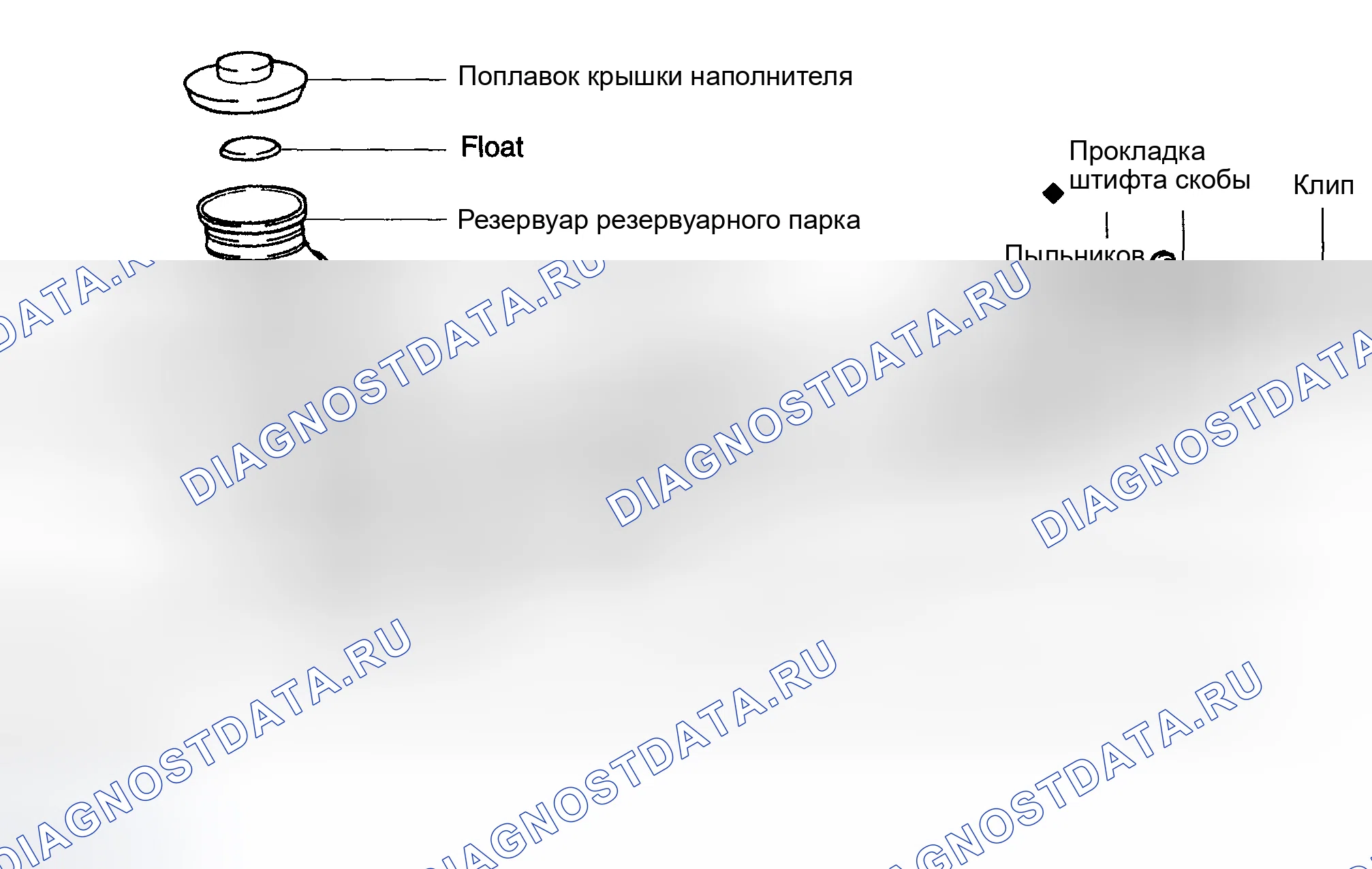 Рис. 1: ОБЩИЕ СВЕДЕНИЯ. Toyota Corolla IX рестайлинг