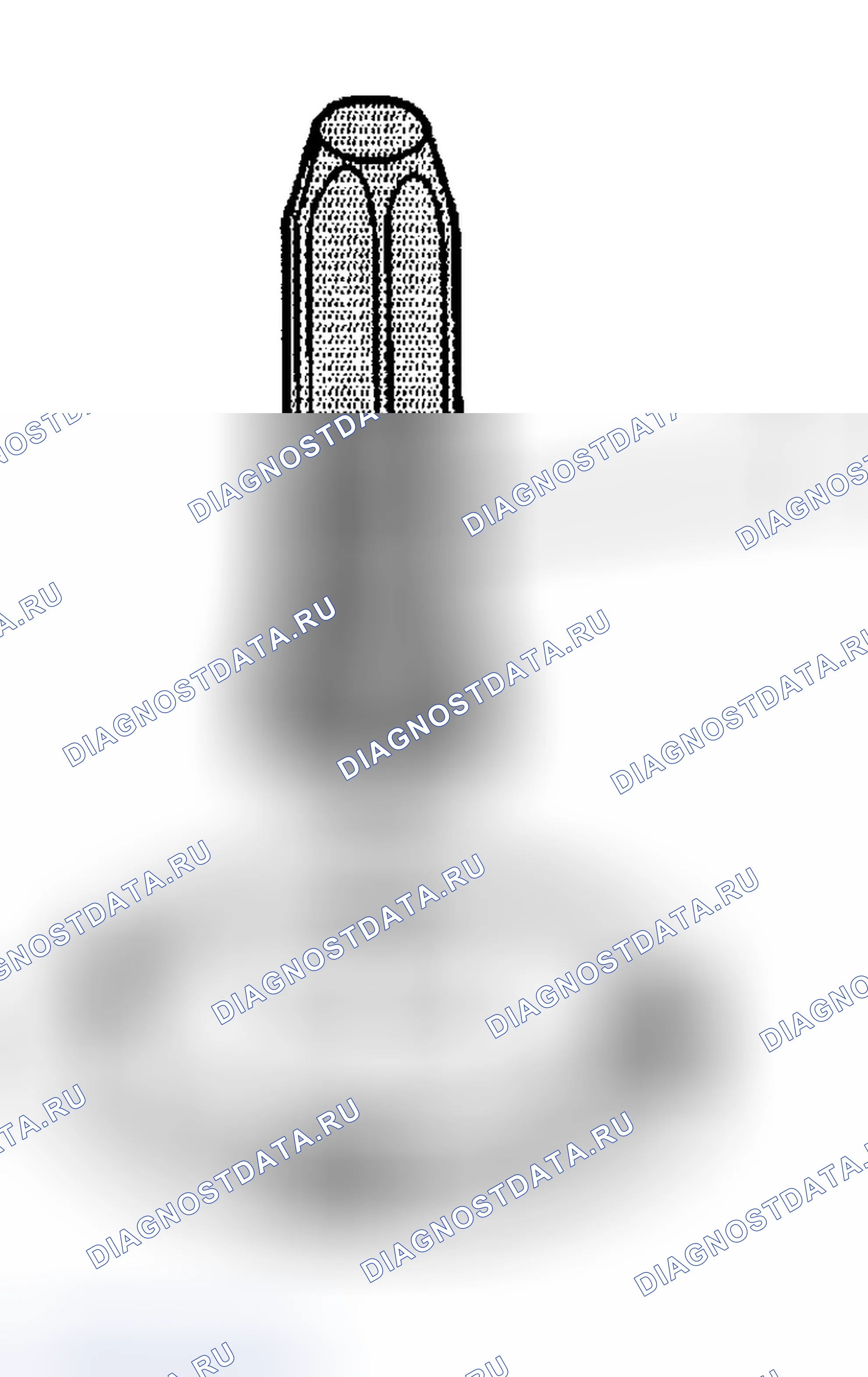 Рис. 457. Chevrolet Silverado 1500 HD 
