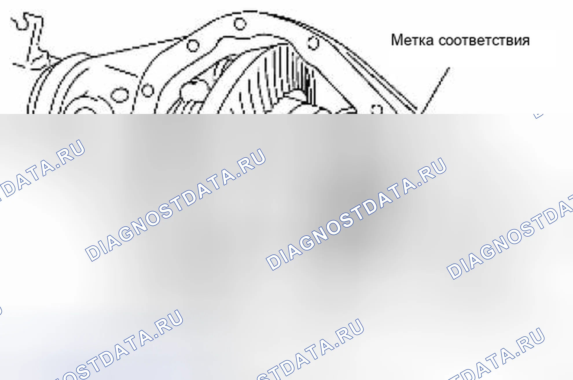 Рис. 137. Suzuki Equator I