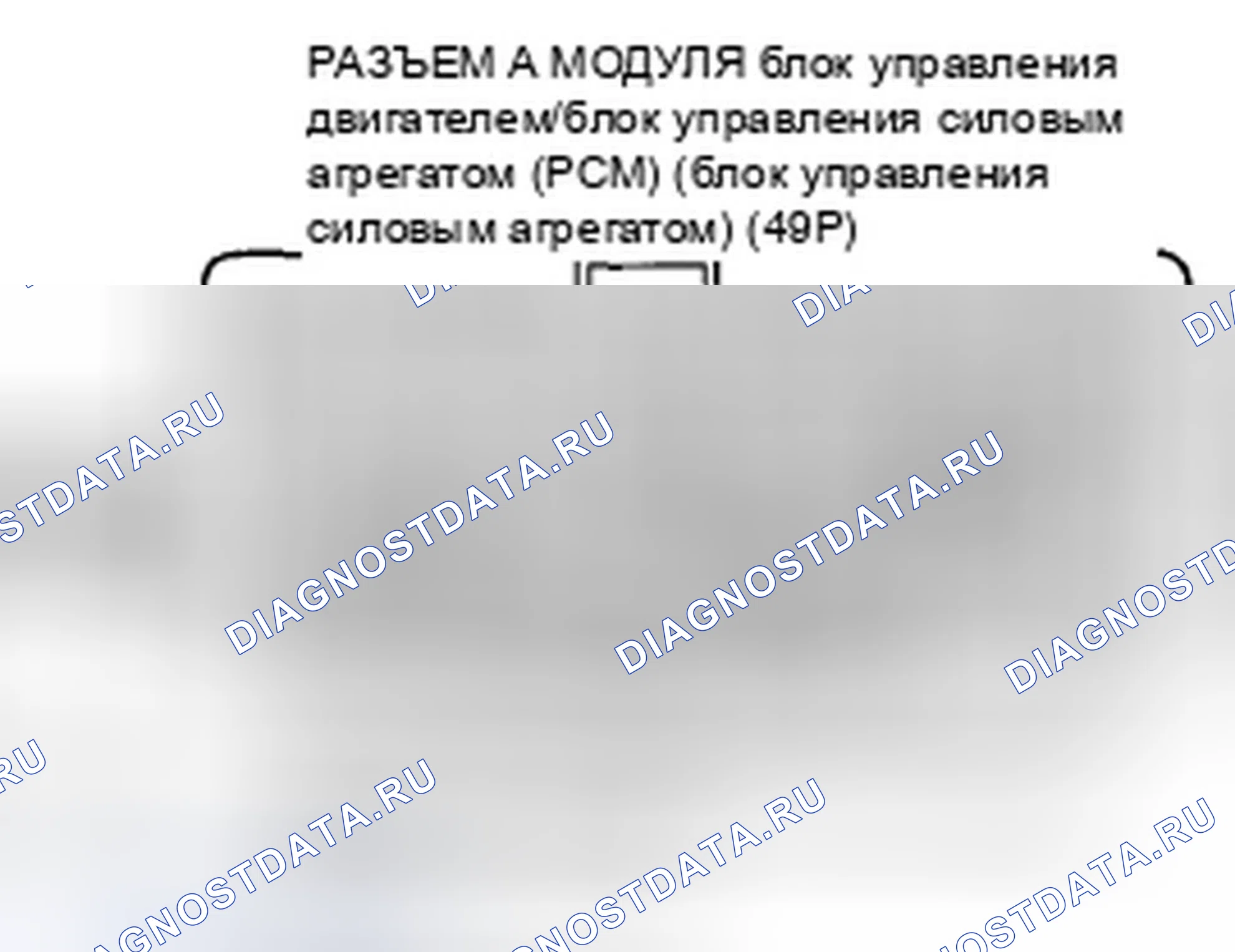 Рис. 644. Honda Accord VIII