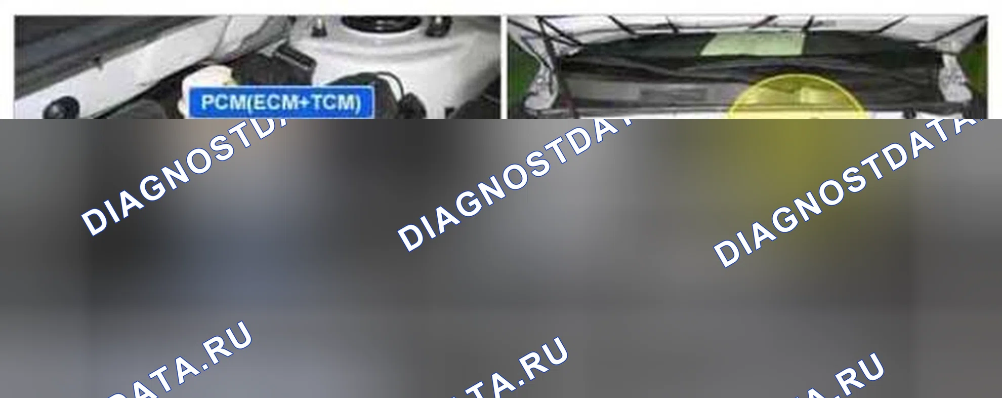 Рис. 209: Расположение компонентов. Kia Magentis II рестайлинг