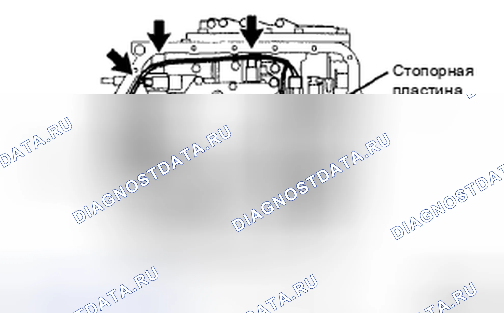 Рис. 141. Toyota Corolla X