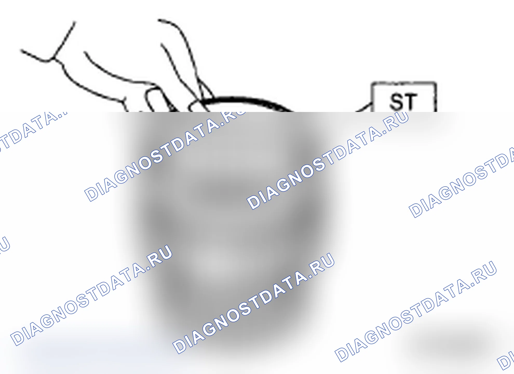 Рис. 296. Subaru Impreza WRX STI GD рестайлинг 2