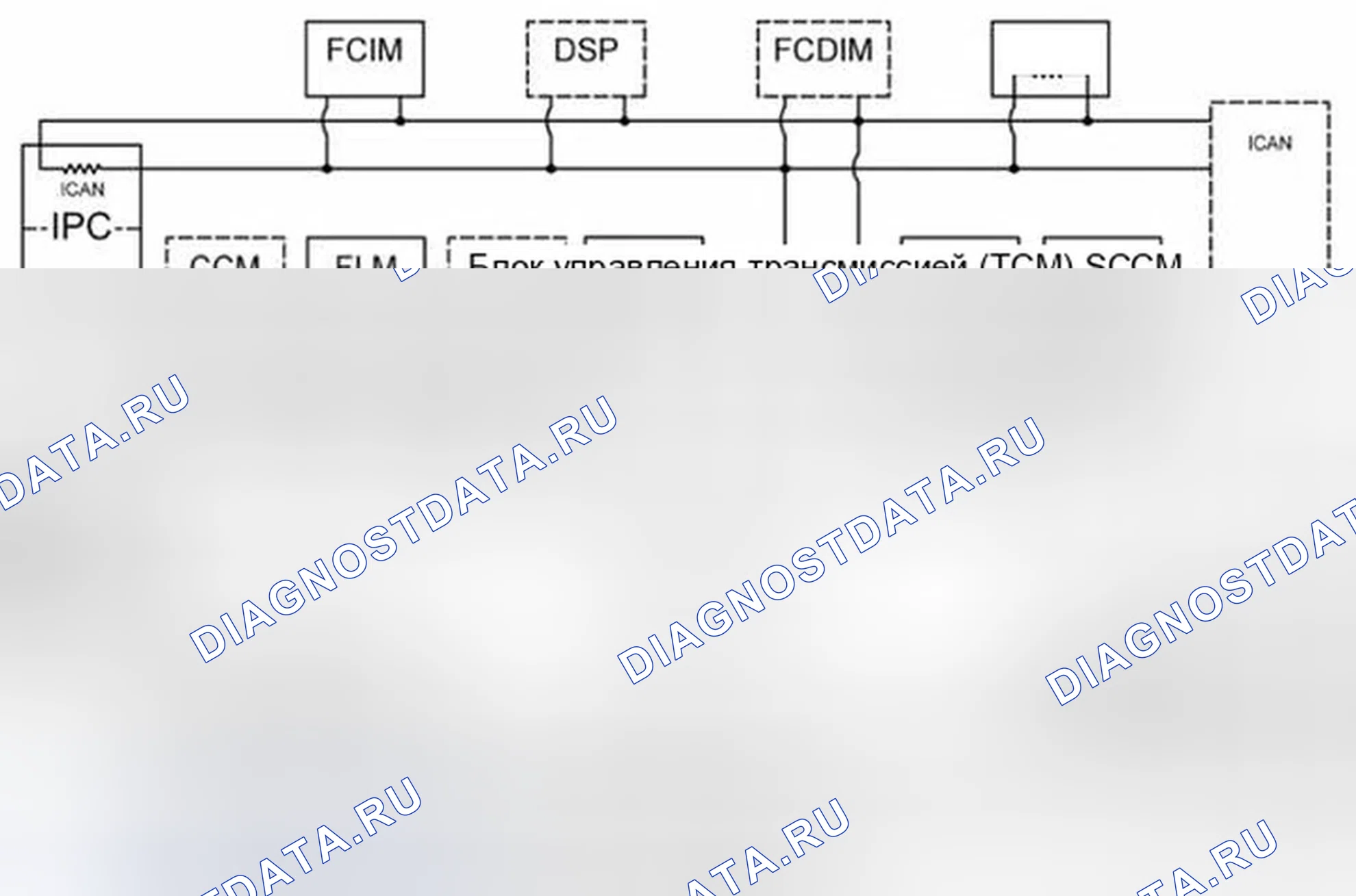 Рис. 1: Топология сети. Ford Edge I рестайлинг