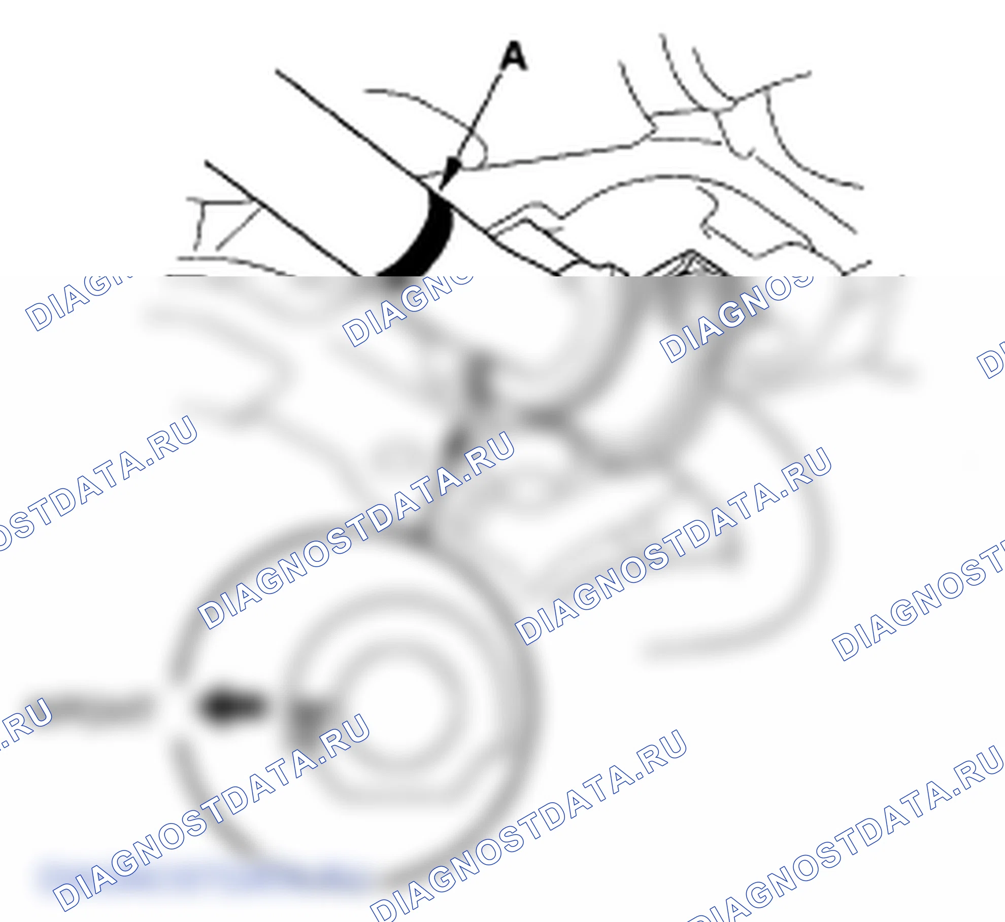 Рис. 30. Honda Element YH2 рестайлинг