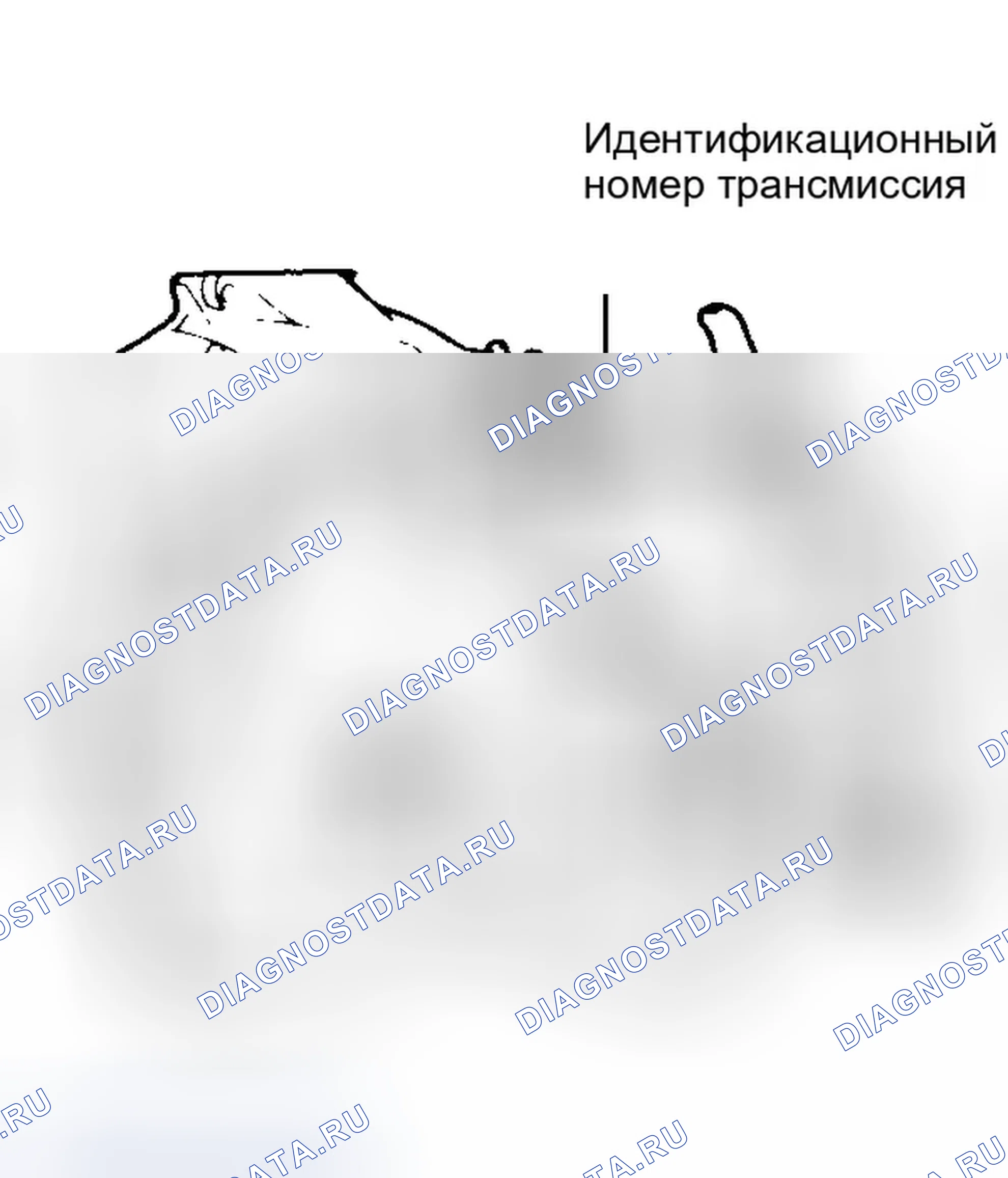 Рис. 82: ИДЕНТИФИКАЦИЯ. Hyundai Elantra I