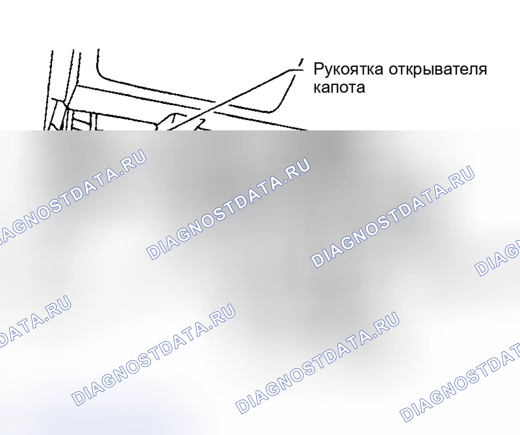 Рис. 7. Nissan Altima L31