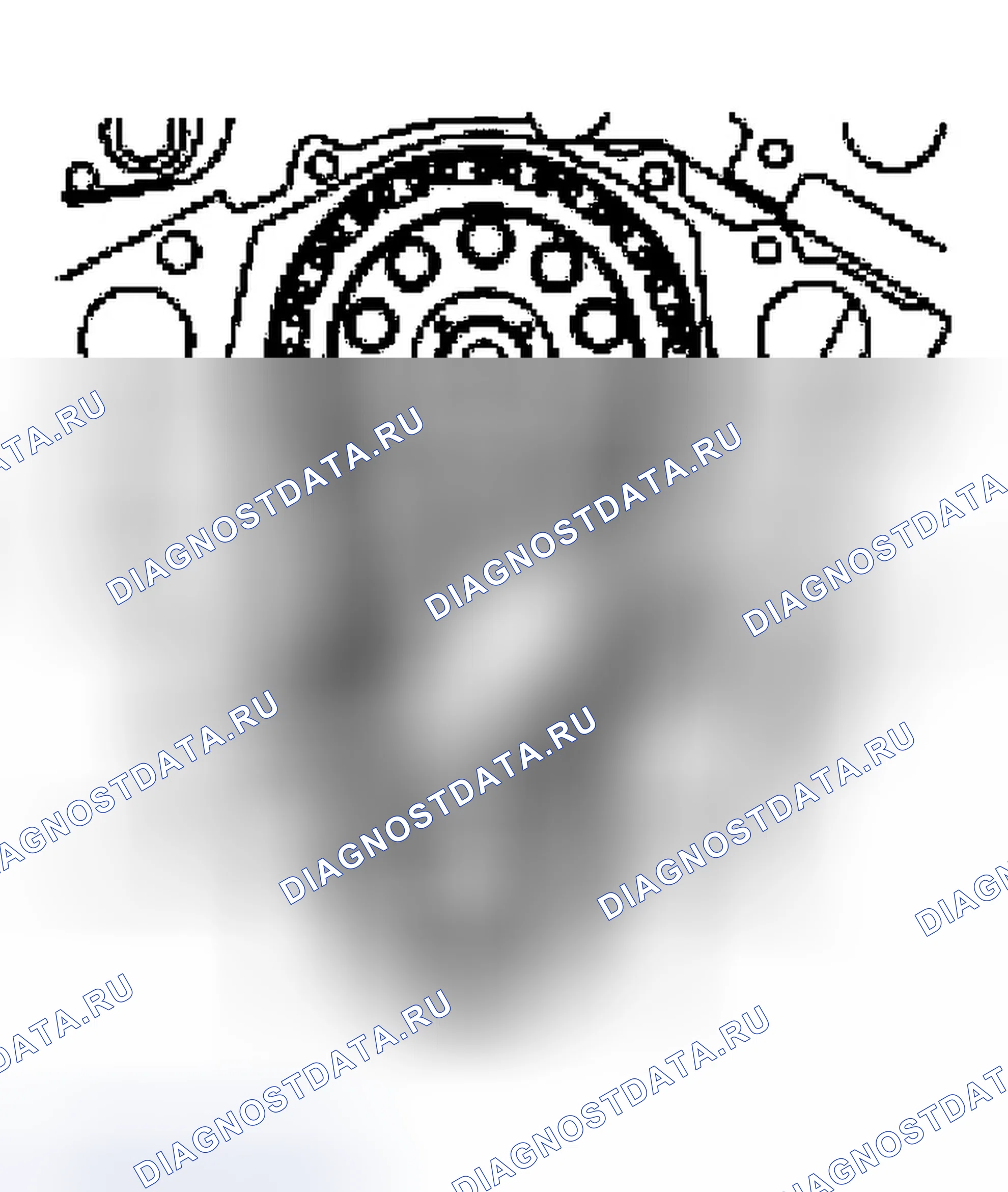 Рис. 477: Установка. Ford Ranger I
