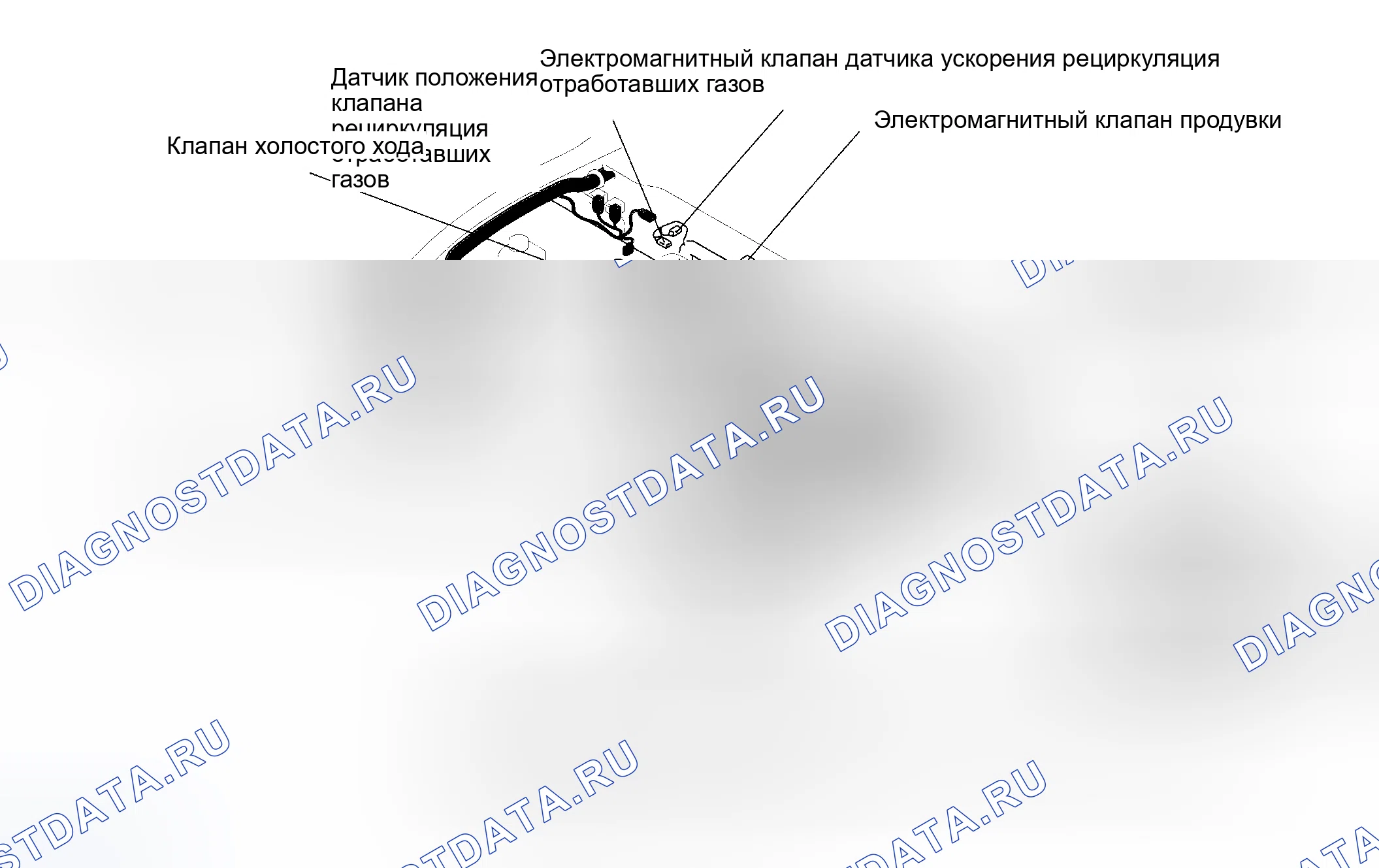 Рис. 3: Расположение компонентов (3 из 5). Mazda Protege BH