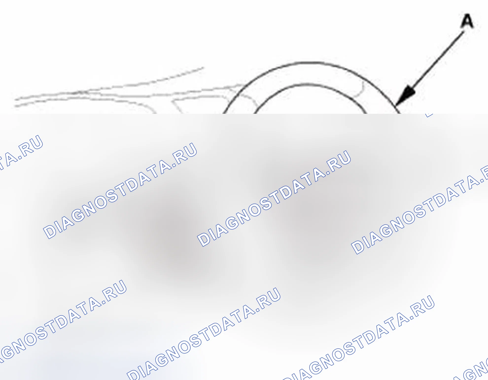 Рис. 439. Honda Civic IX