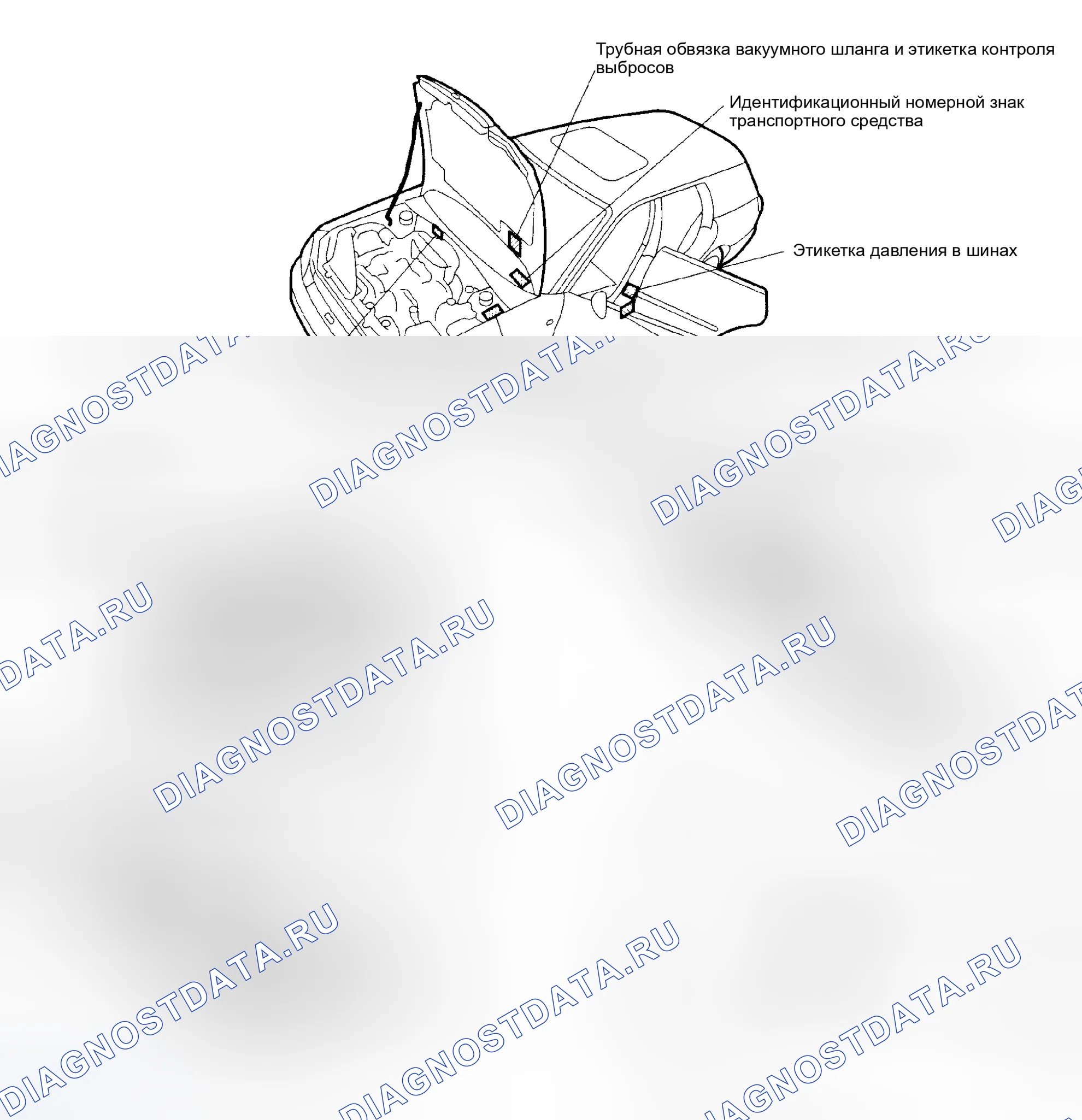 Рис. 1: ИДЕНТИФИКАЦИОННЫЕ НОМЕРА И РАСПОЛОЖЕНИЕ ЭТИКЕТОК. Subaru Impreza WRX GD/GG рестайлинг
