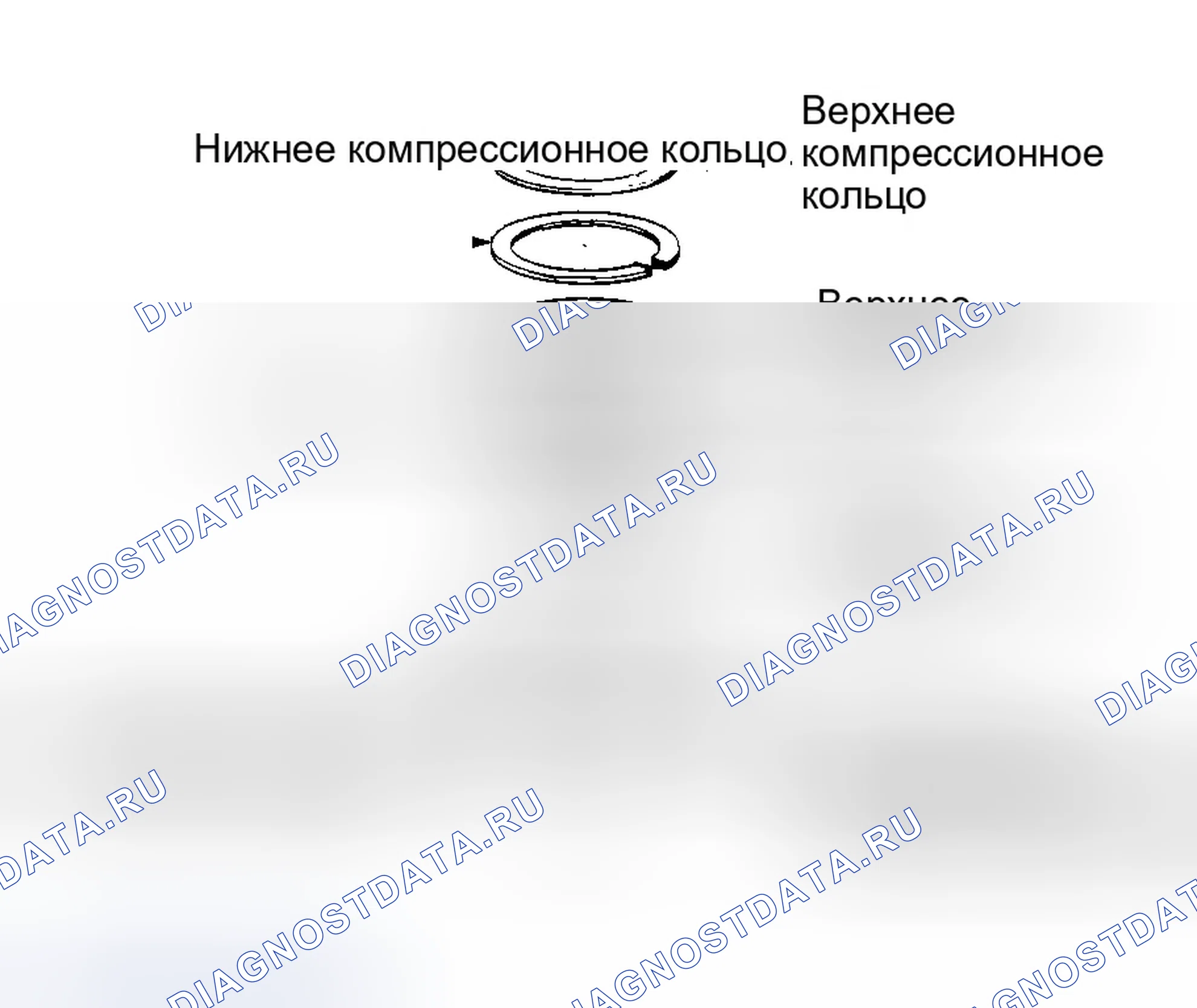 Рис. 9: Поршневые кольца. Jeep Grand Cherokee ZJ