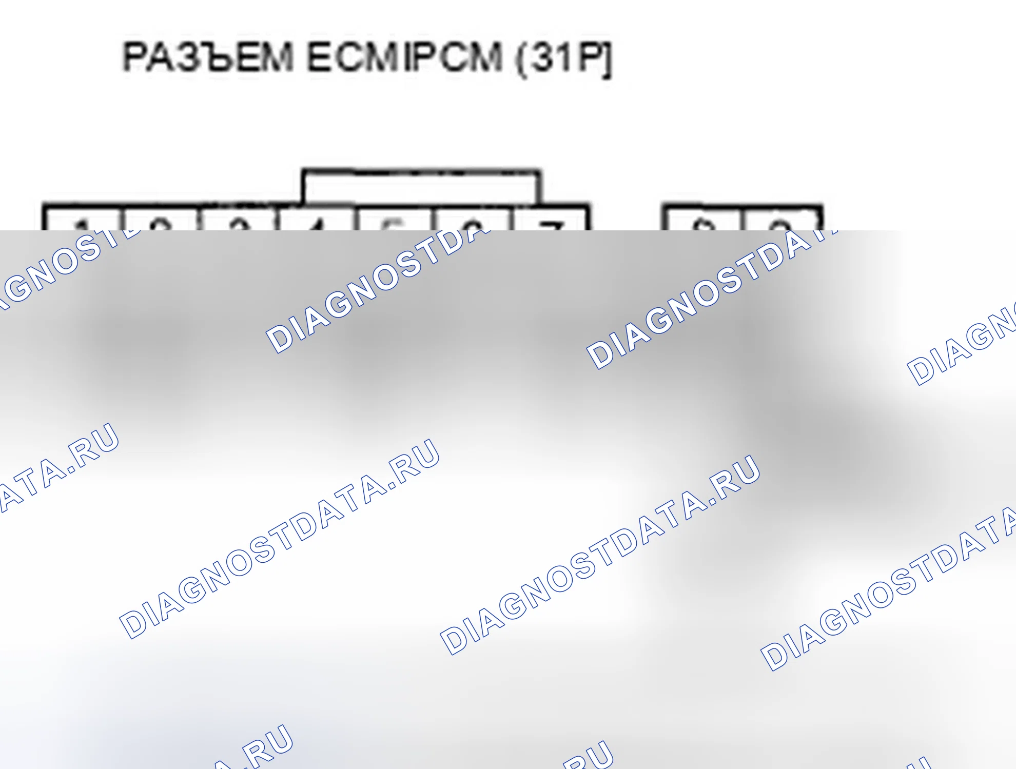 Рис. 463. Honda Element YH2 рестайлинг