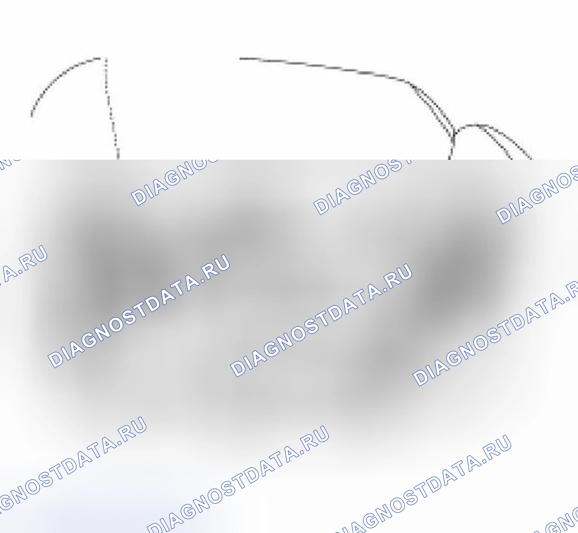 Рис. 240. Hyundai Lavita I