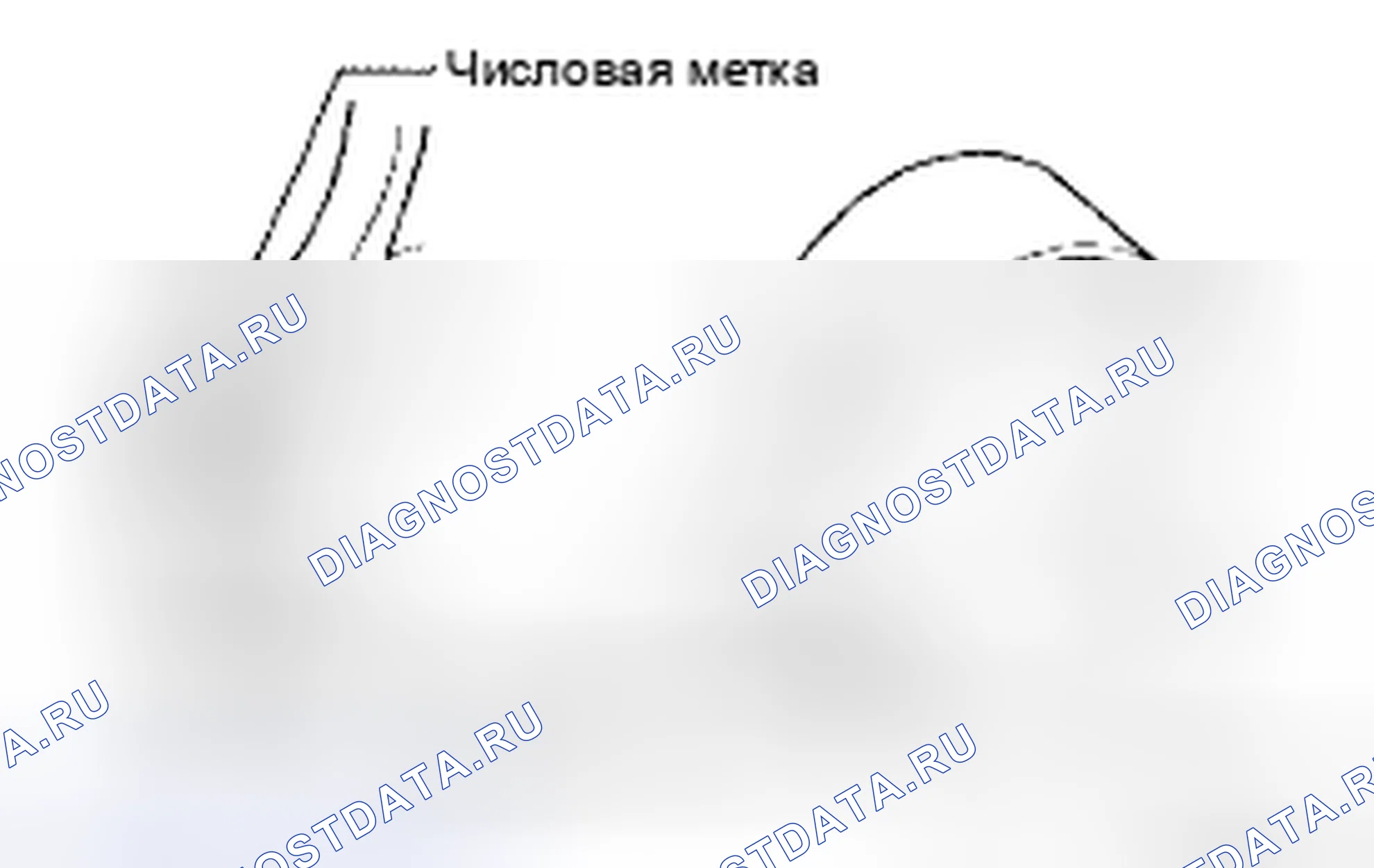 Рис. 616. Toyota 4Runner IV рестайлинг