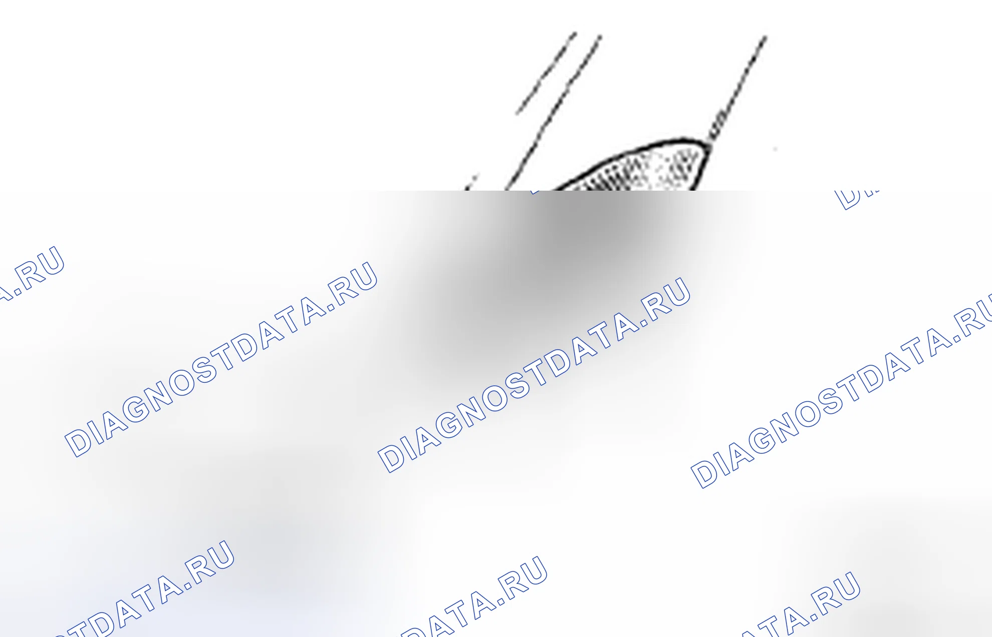 Рис. 88. Honda CR-V VI