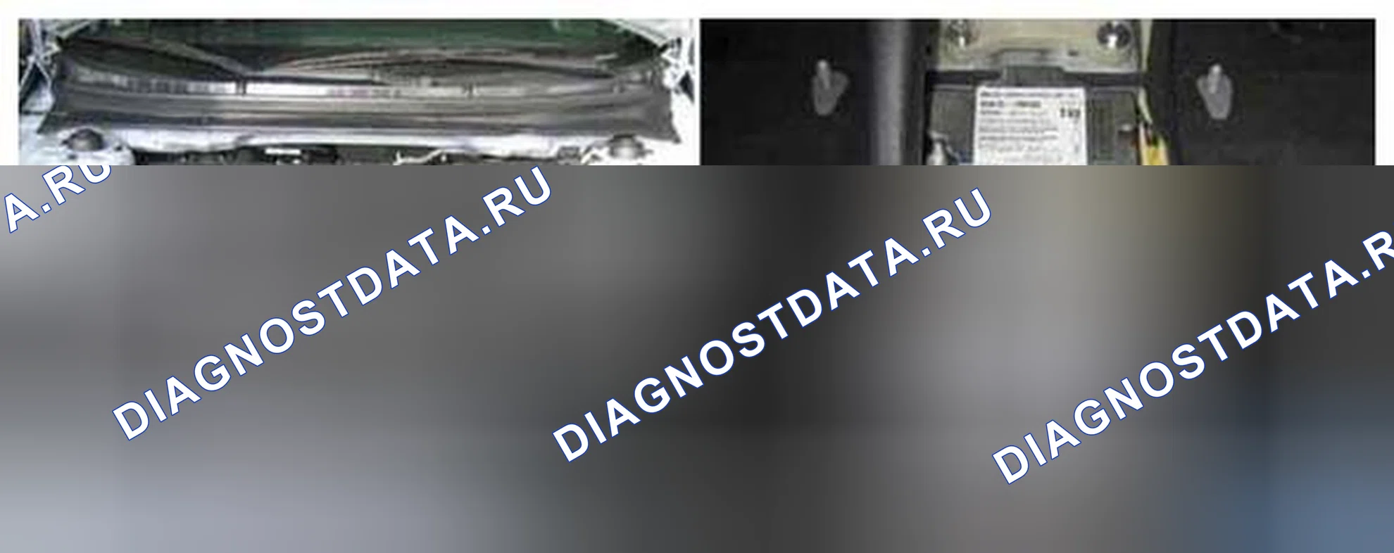 Рис. 408: Расположение компонентов. Kia Forte I