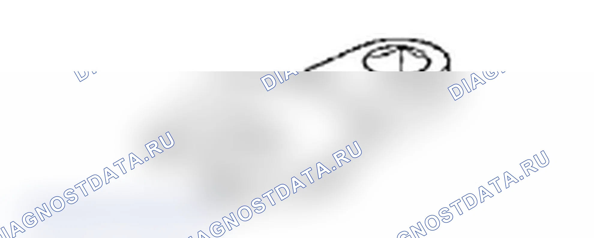 Рис. 13. Lexus IS F I