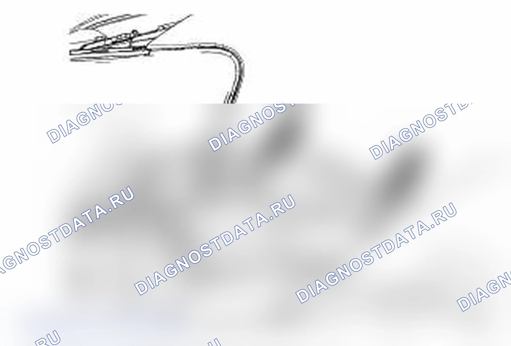 Рис. 19. Ford Escape I рестайлинг 2