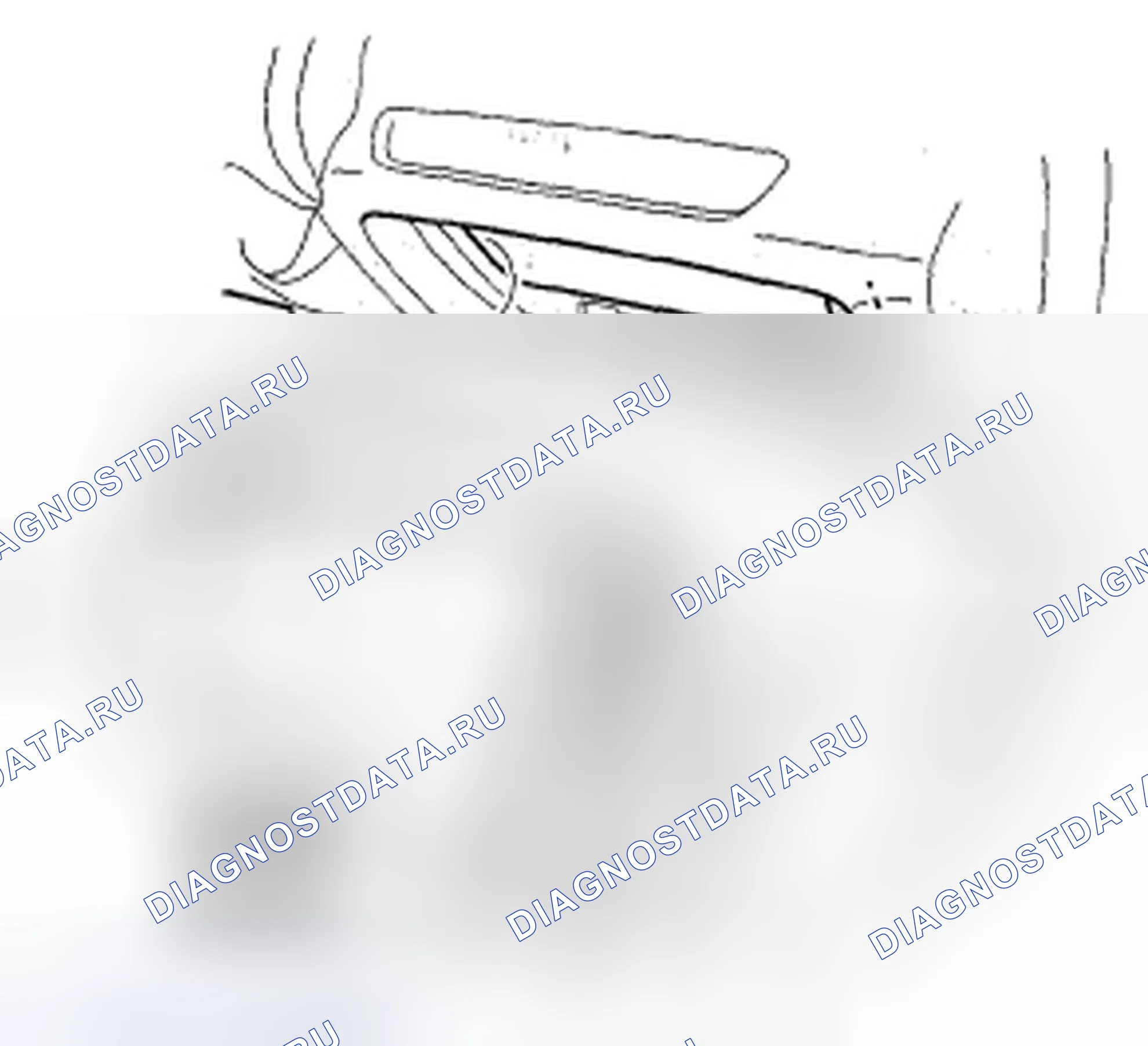 Рис. 14. Honda Fit I