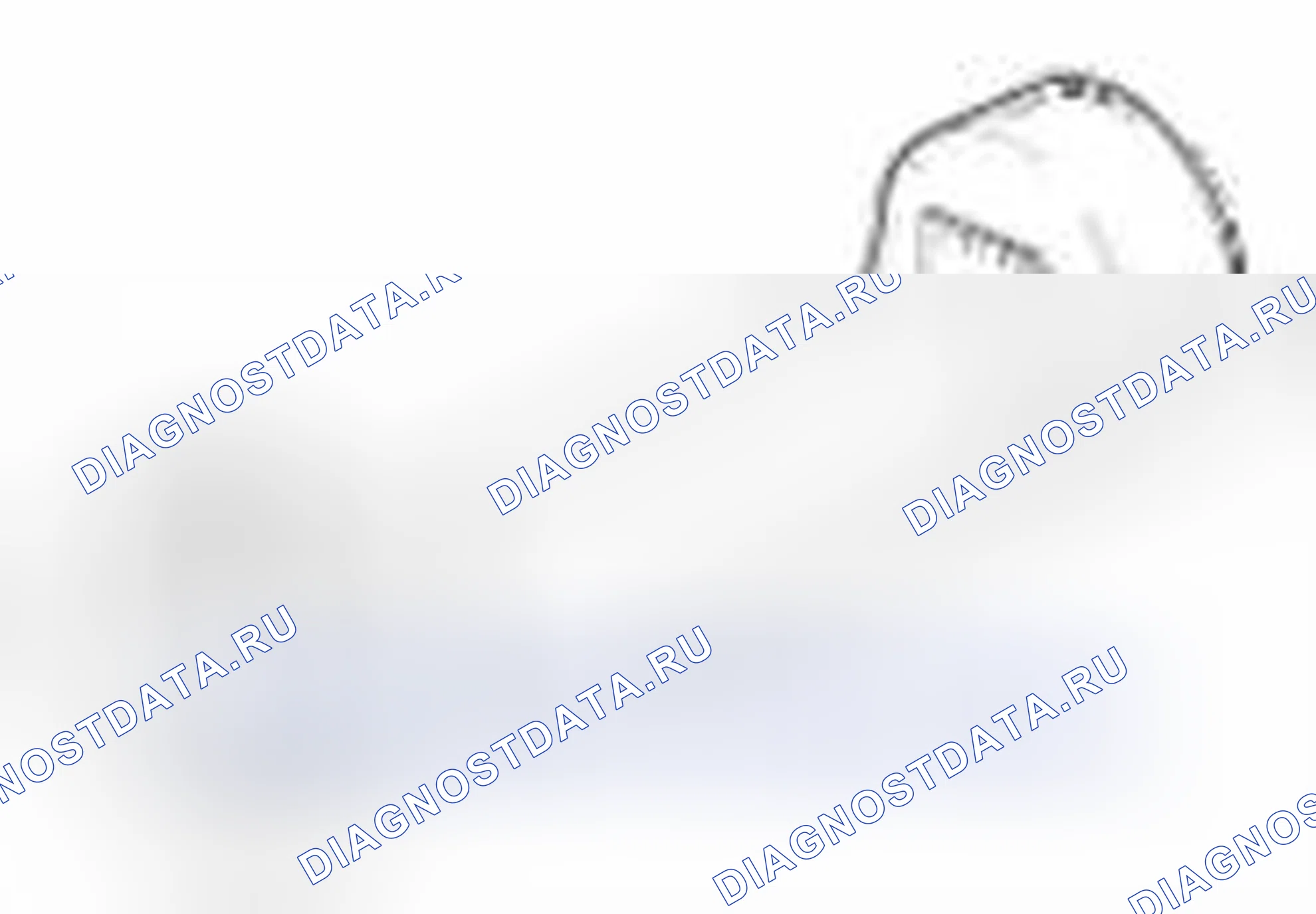 Рис. 20. Geely Vision X3 Pro I