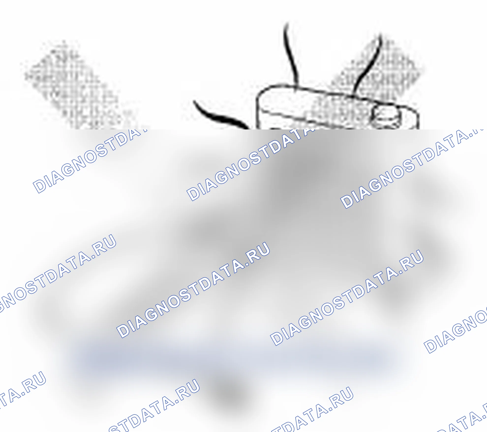 Рис. 6. Acura TL III рестайлинг