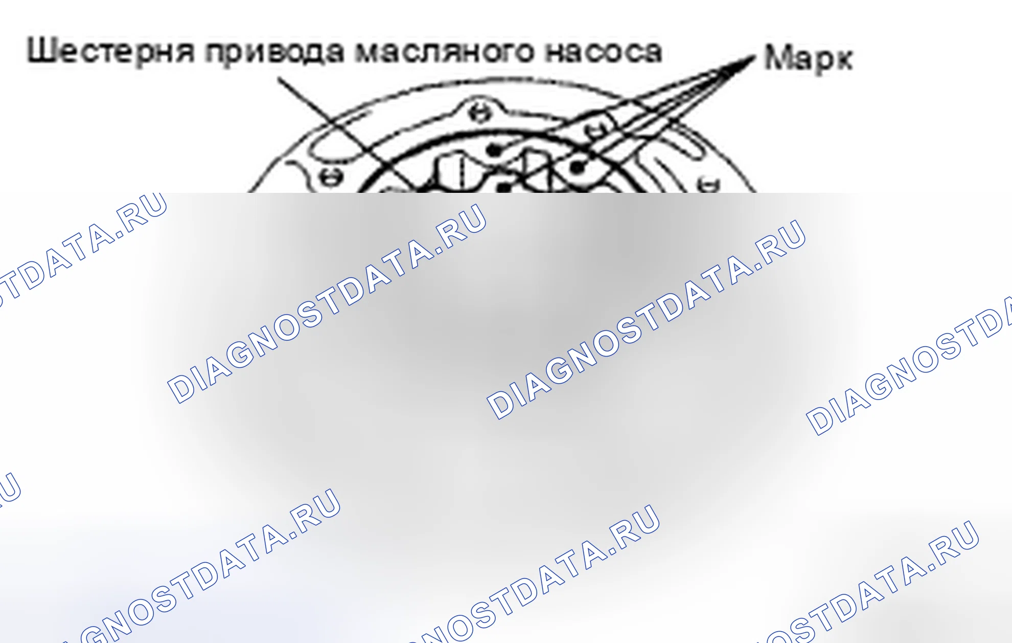 Рис. 999. Toyota Sienna II рестайлинг