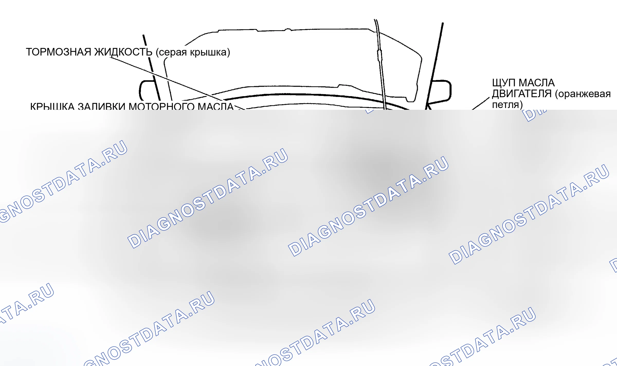 Рис. 5: РАСПОЛОЖЕНИЕ ТОЧЕК ОБСЛУЖИВАНИЯ. Honda Odyssey I