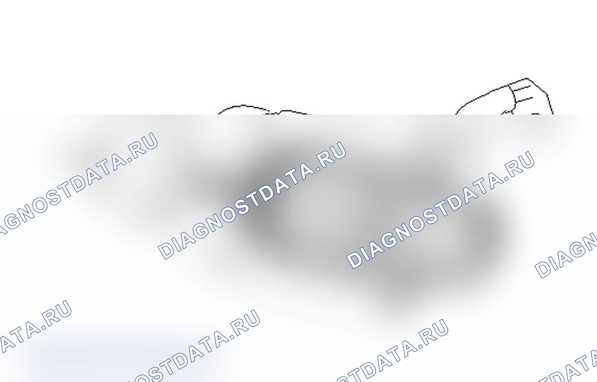 Рис. 31. Lexus IS F I