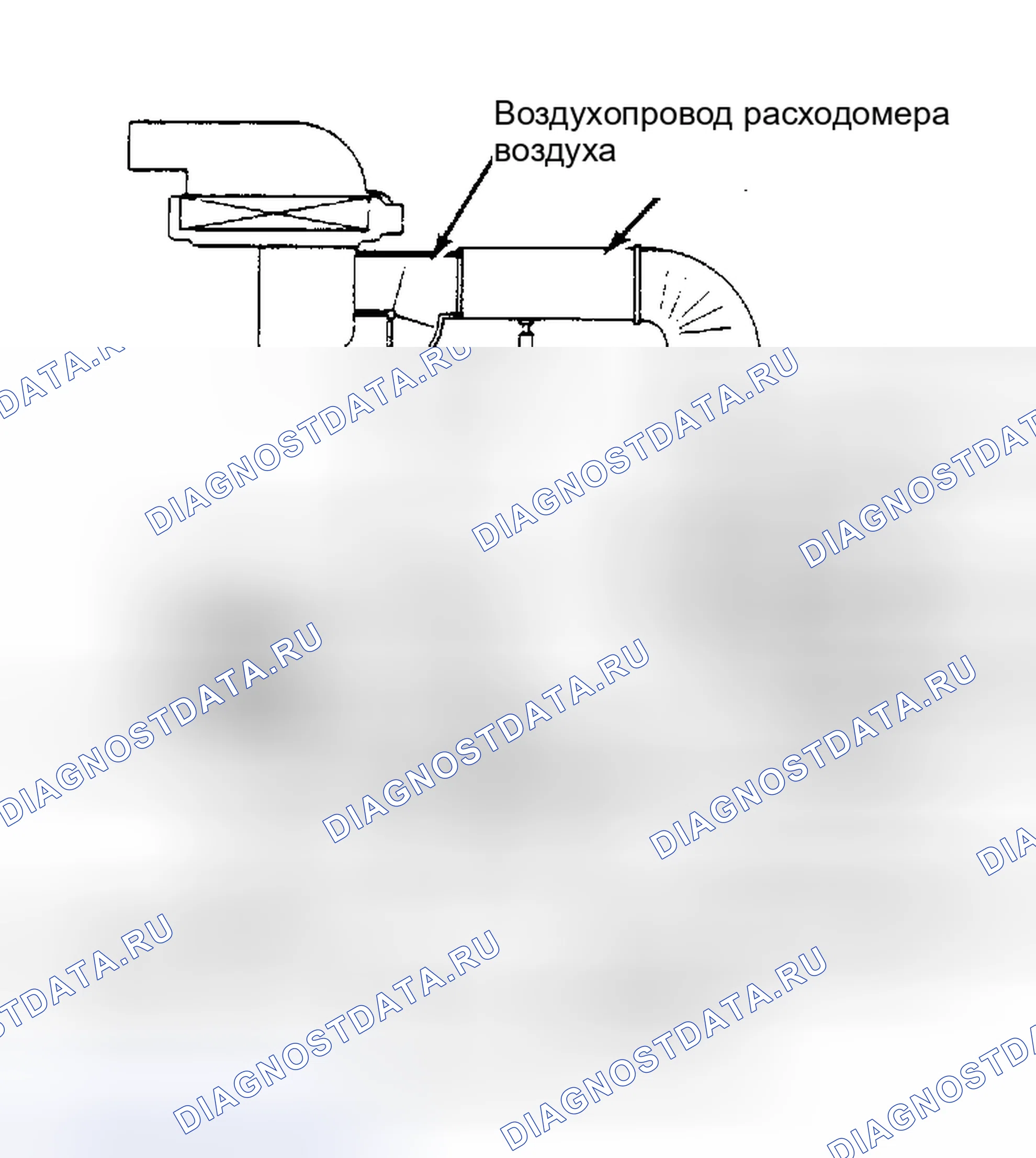 Рис. 22: СИСТЕМА рециркуляция отработавших газов. Nissan Maxima G910