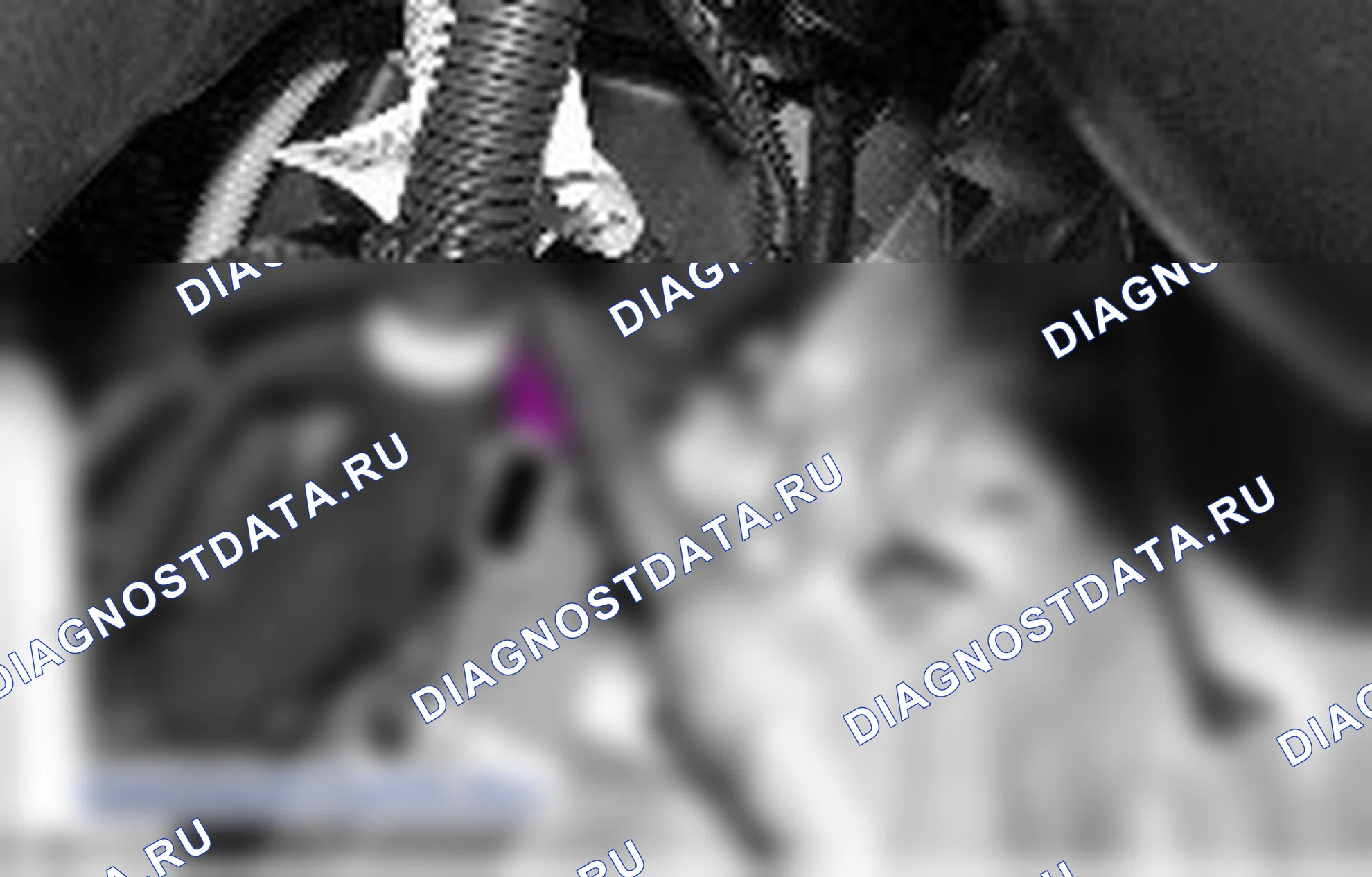 Диагностика двигателя. Ford S-MAX I
