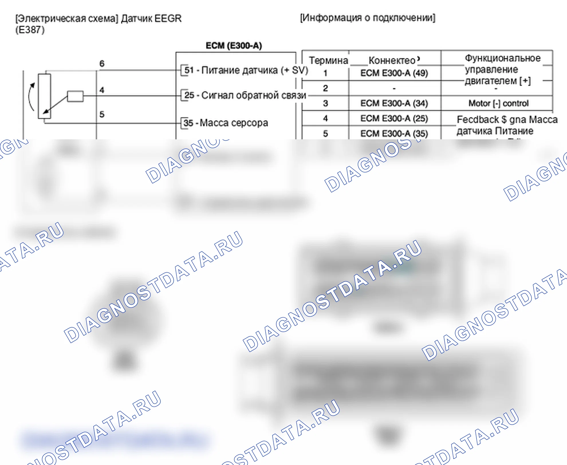 Фрагмент электросхемы: рециркуляция отработавших газов (клапан рециркуляции отработавших газов). Hyundai i20 GB