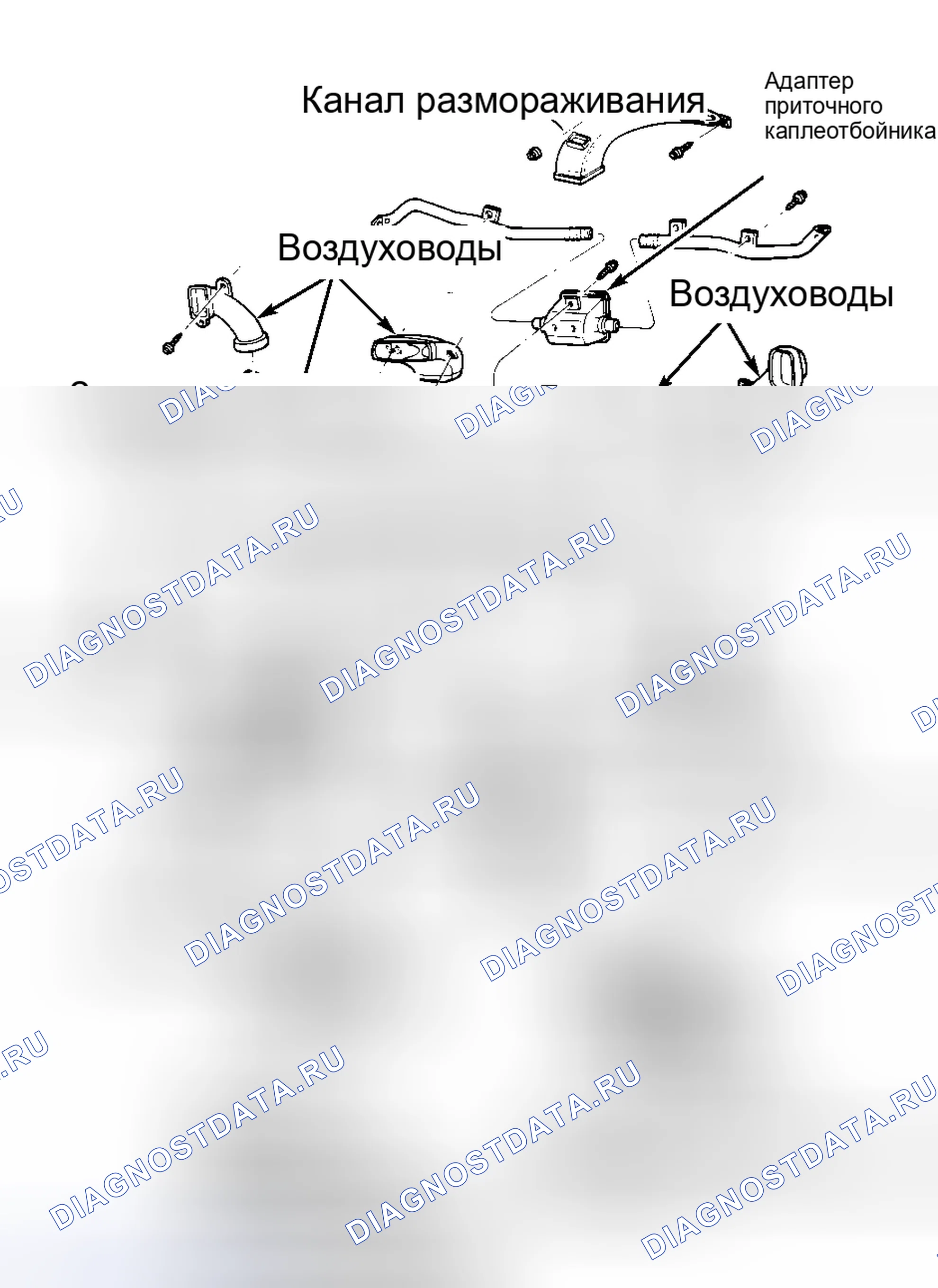 Рис. 6: Задний рычаг управления. Hyundai Santa Cruz I