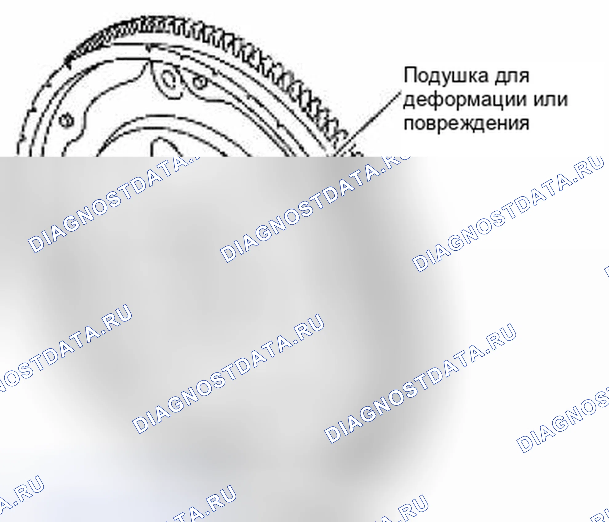Рис. 433. Suzuki Equator I