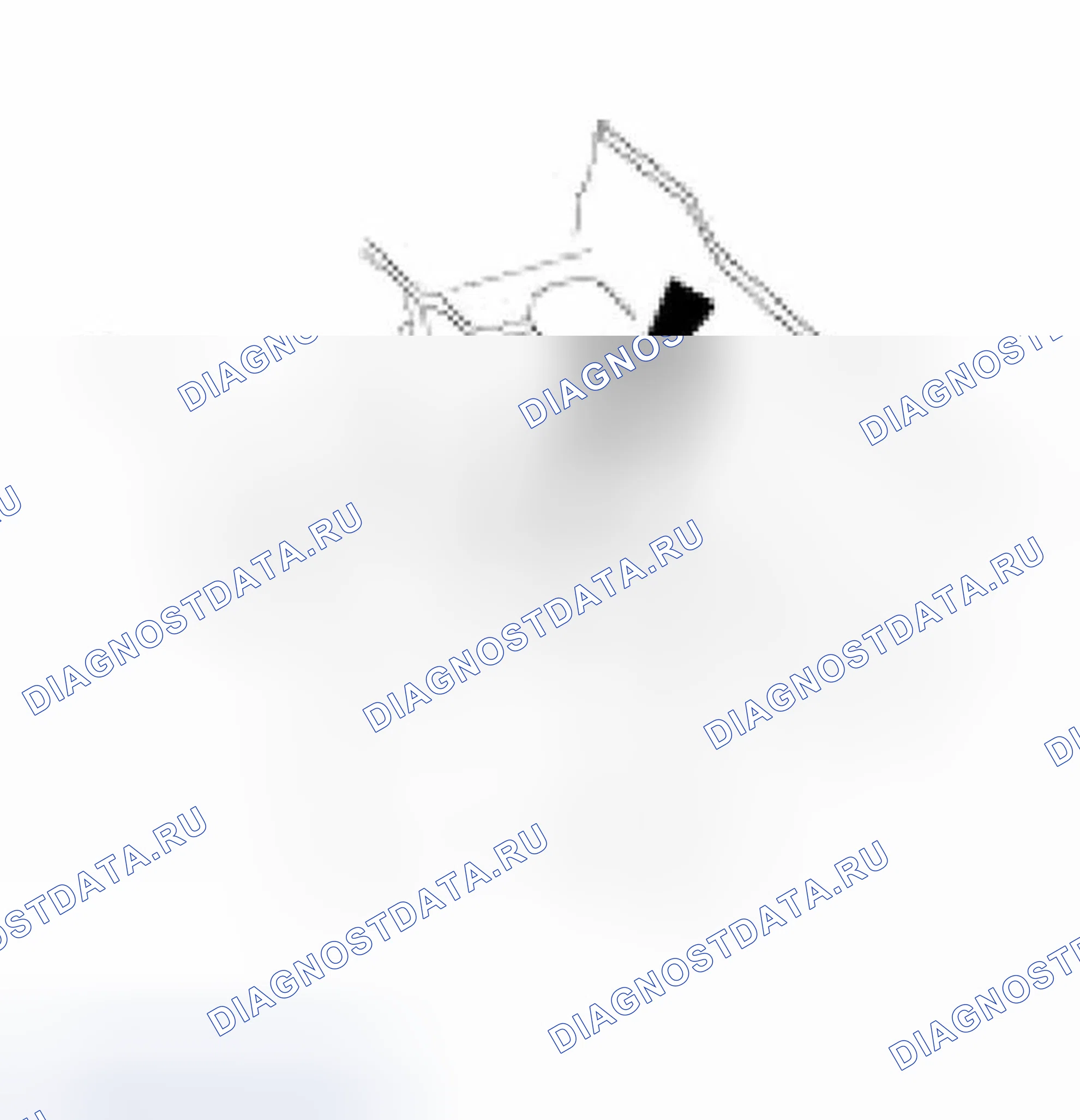 Рис. 121: Установка. Jaguar XKR I